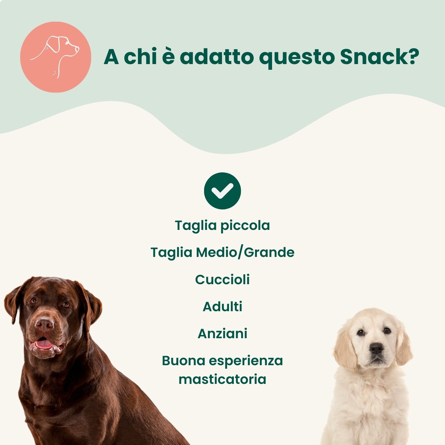 Biscottoni all'Agnello (400g)