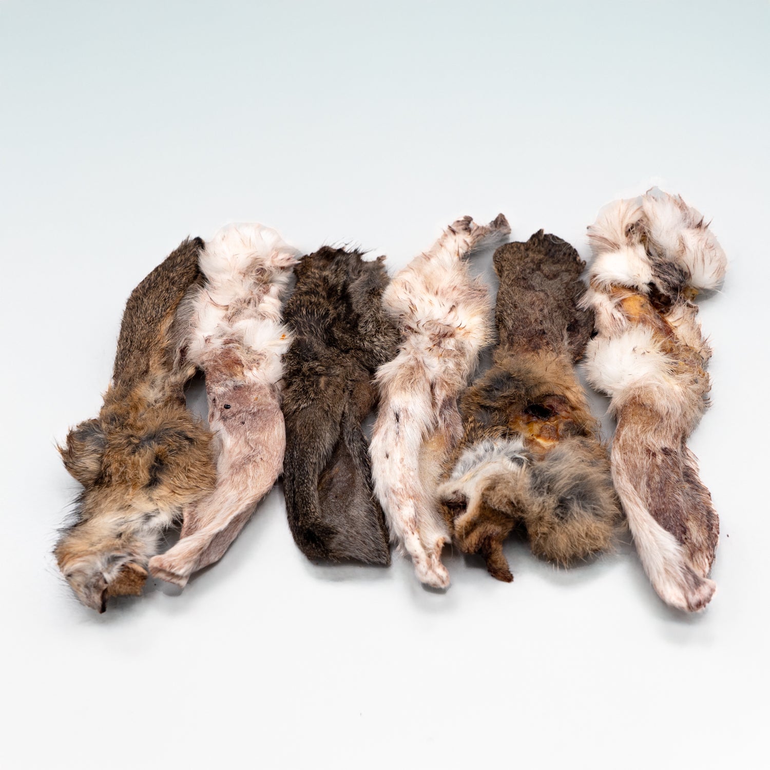 Orecchio di Coniglio con Pelo (100 g)