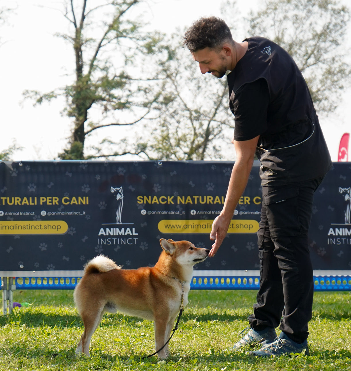 Le Professioni con gli Animali: Oltre il Veterinario