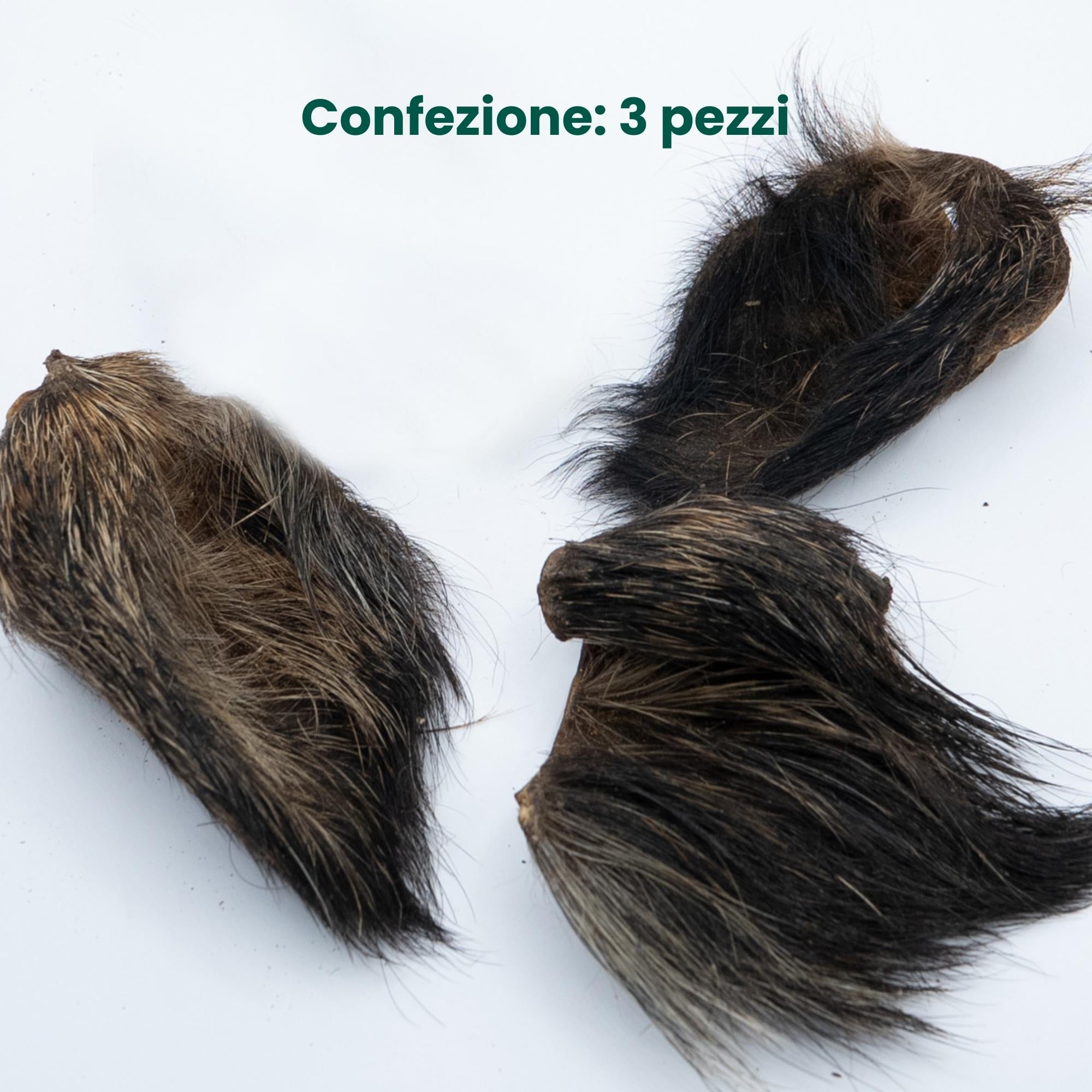 Orecchio di Cinghiale con Pelo