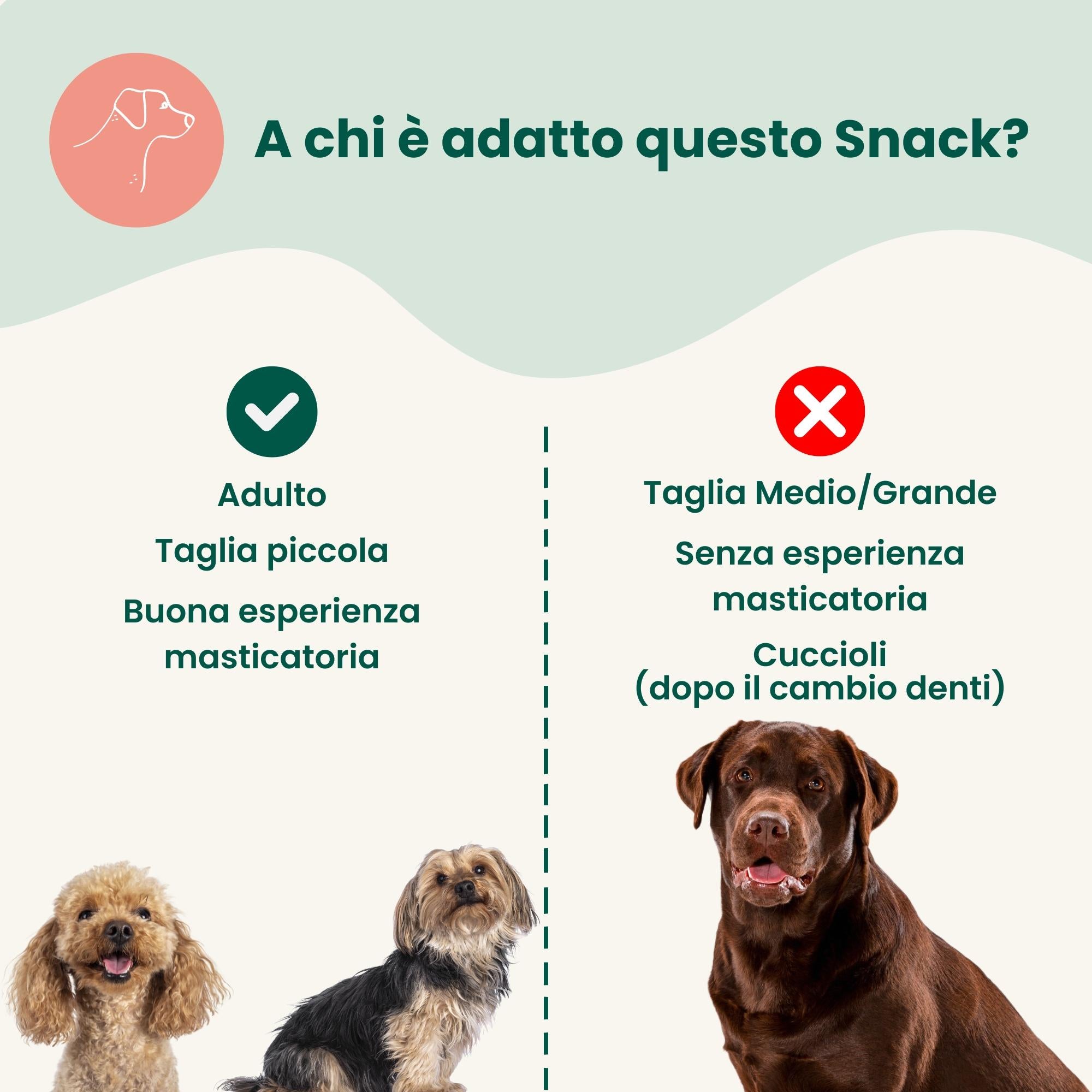 Ritagli di Pelle di Testa Bovina (100g)