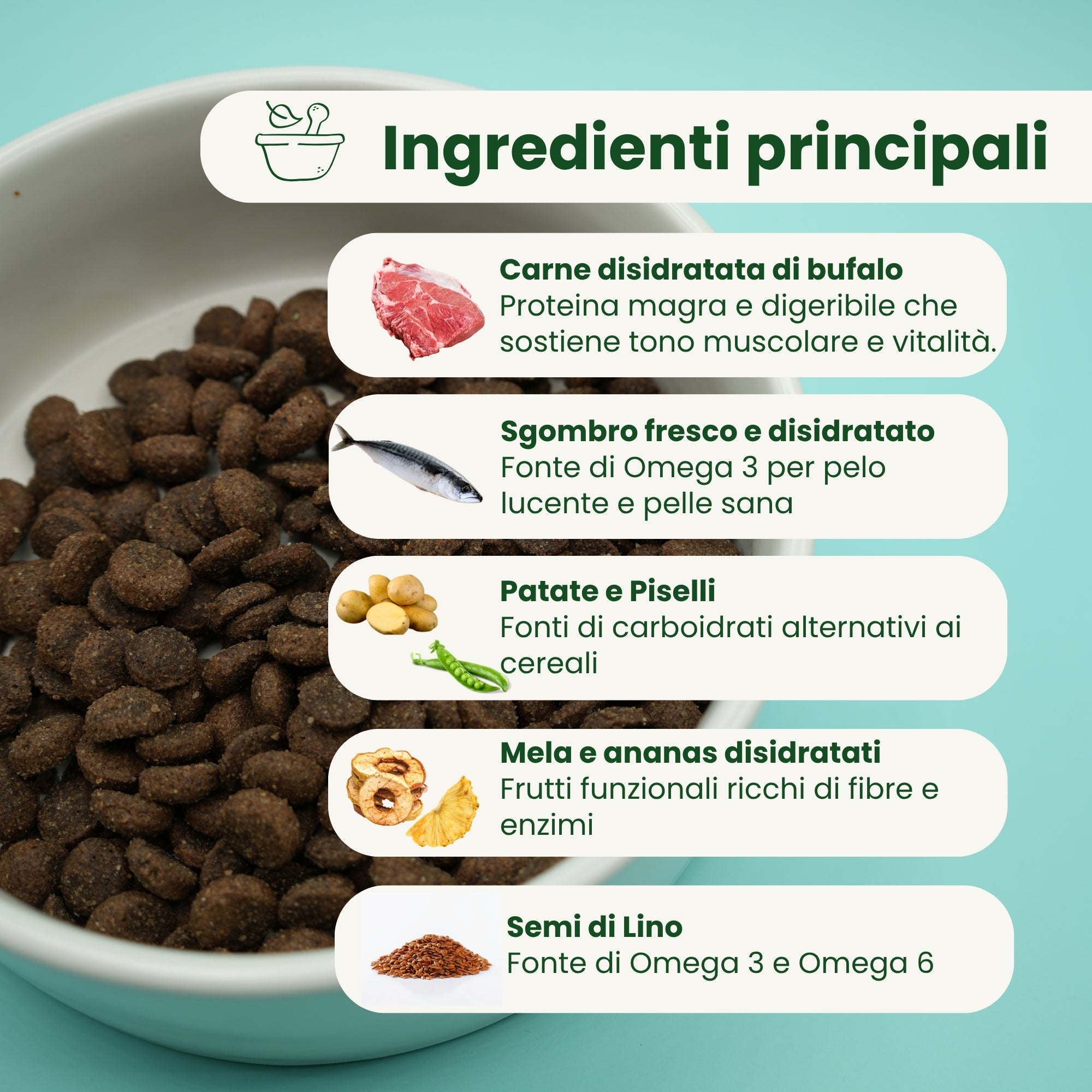 Crocchette Grain Free per Cane Adulto Bufalo e Sgombro