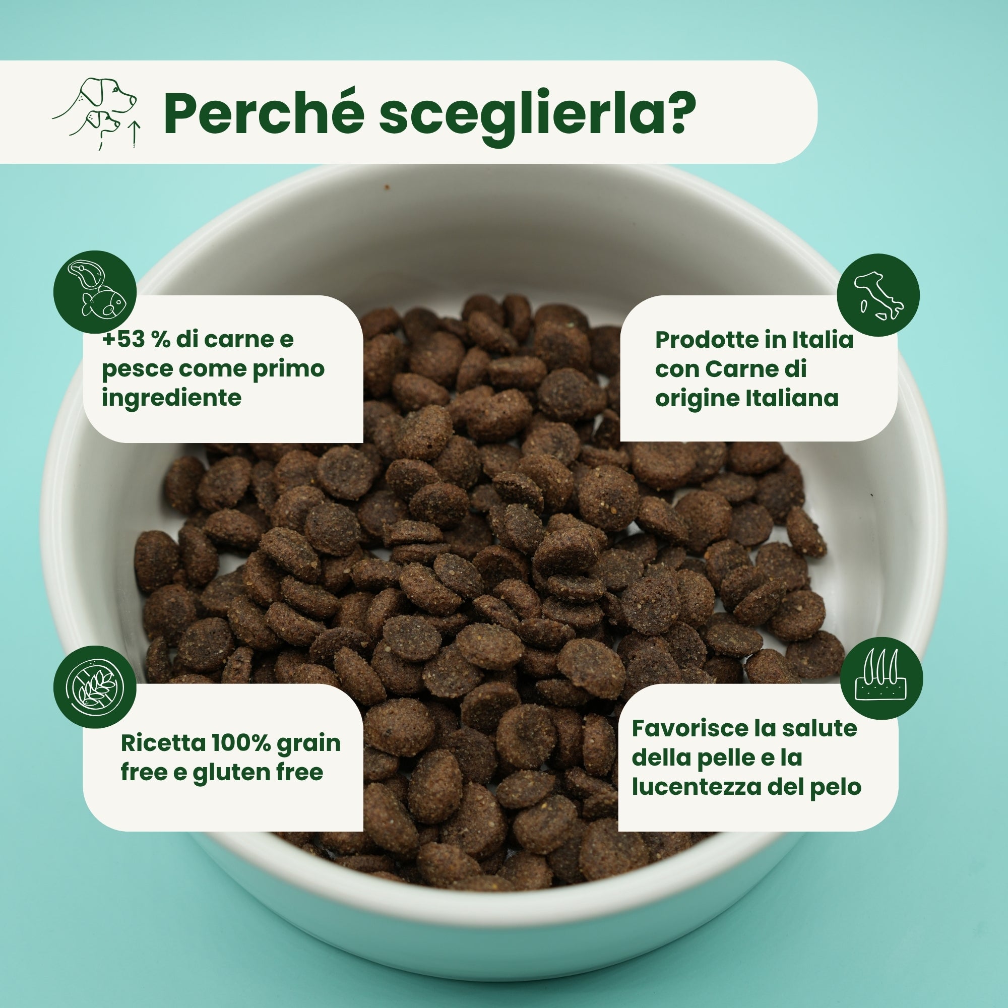 Crocchette Grain Free per Cane Adulto Bufalo e Sgombro