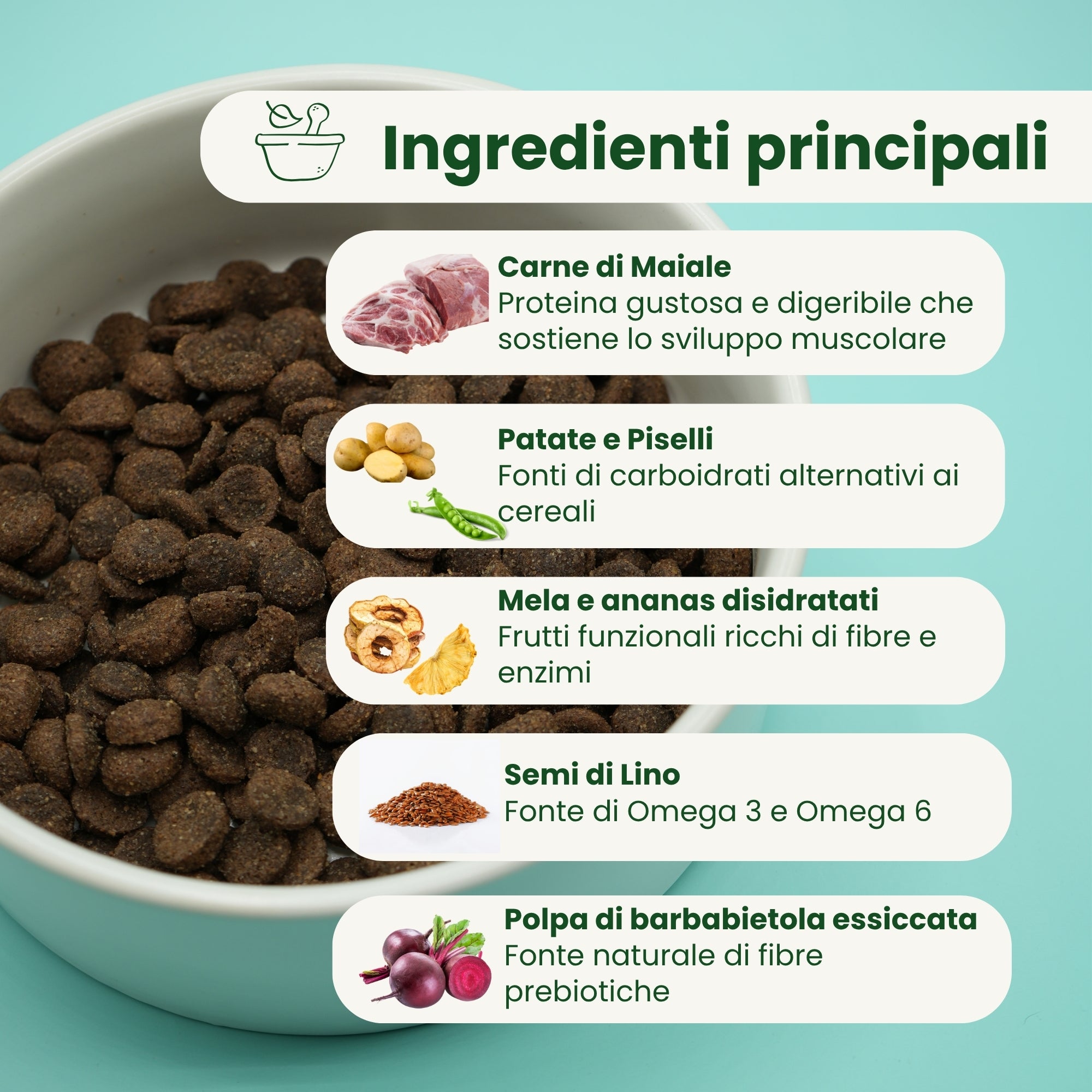 Crocchette Grain Free per Cane Adulto Maiale