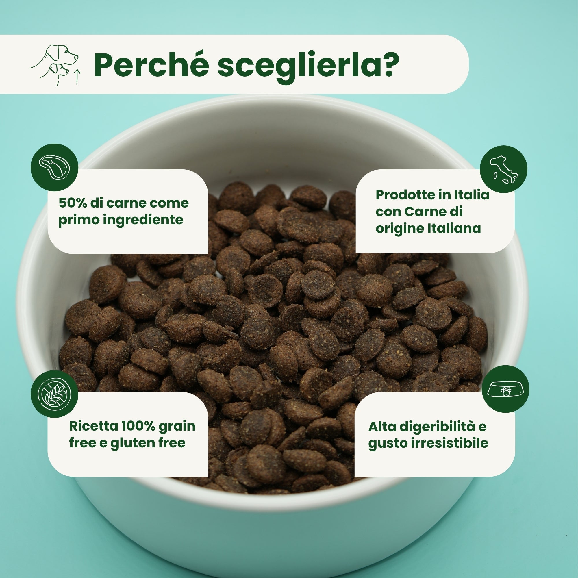 Crocchette Grain Free per Cane Adulto Maiale