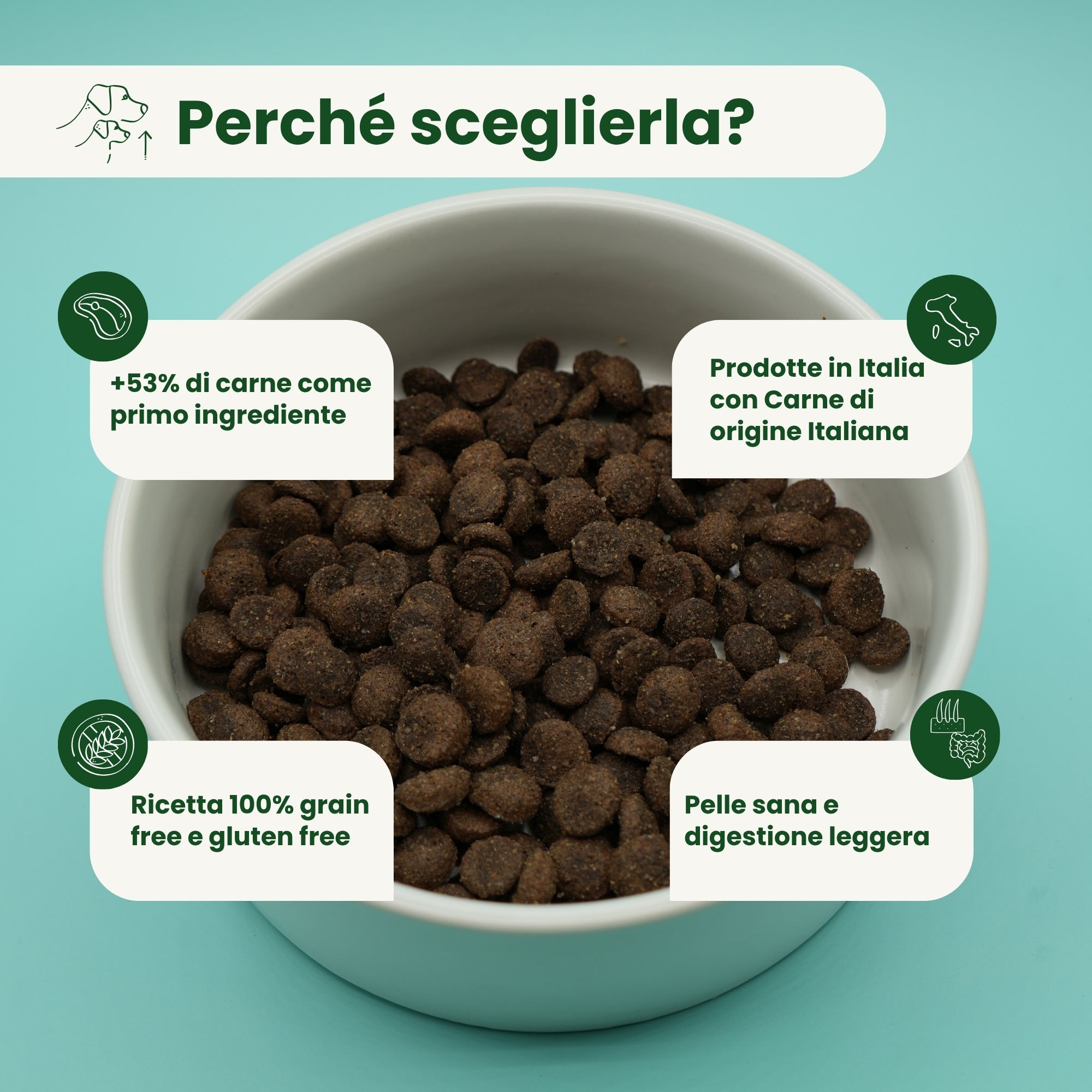 Crocchette Grain Free per Cane Adulto Maiale e Coniglio