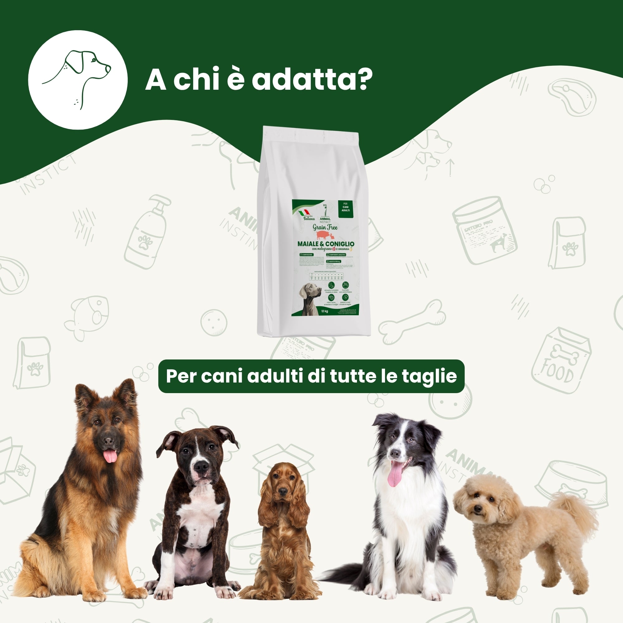 Crocchette Grain Free per Cane Adulto Maiale e Coniglio