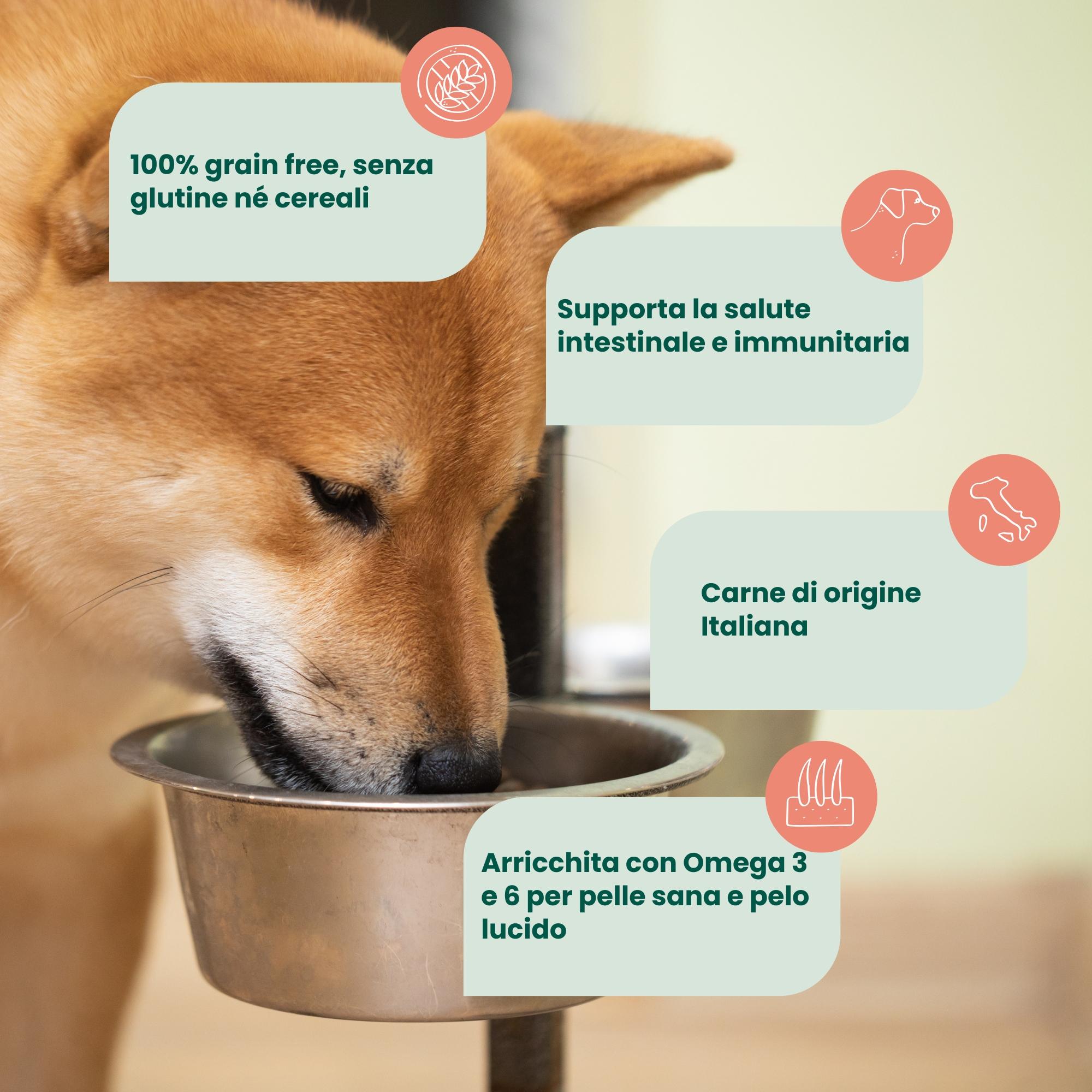 Crocchette Grain Free per Cane Adulto Maiale e Coniglio