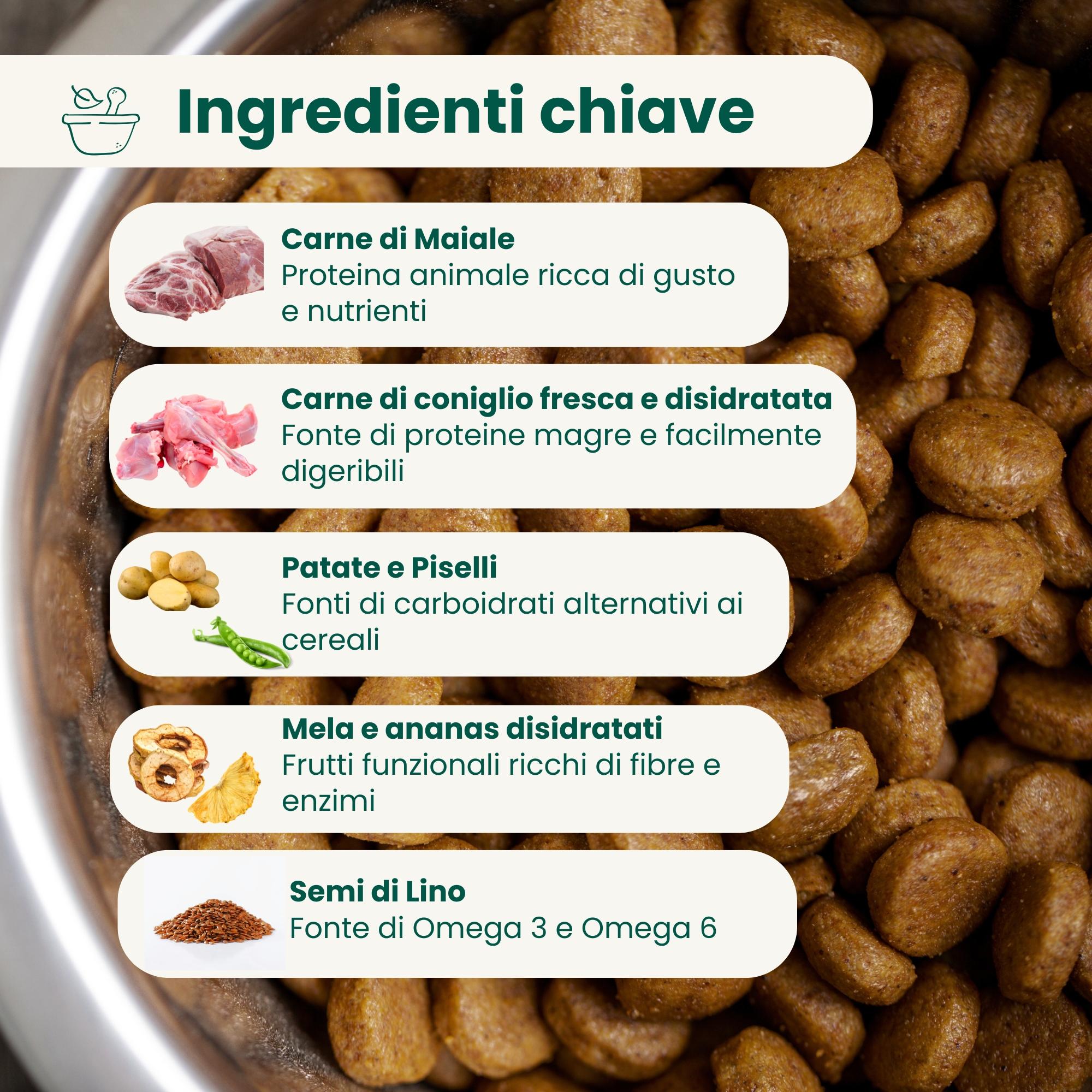 Crocchette Grain Free per Cane Adulto Maiale e Coniglio