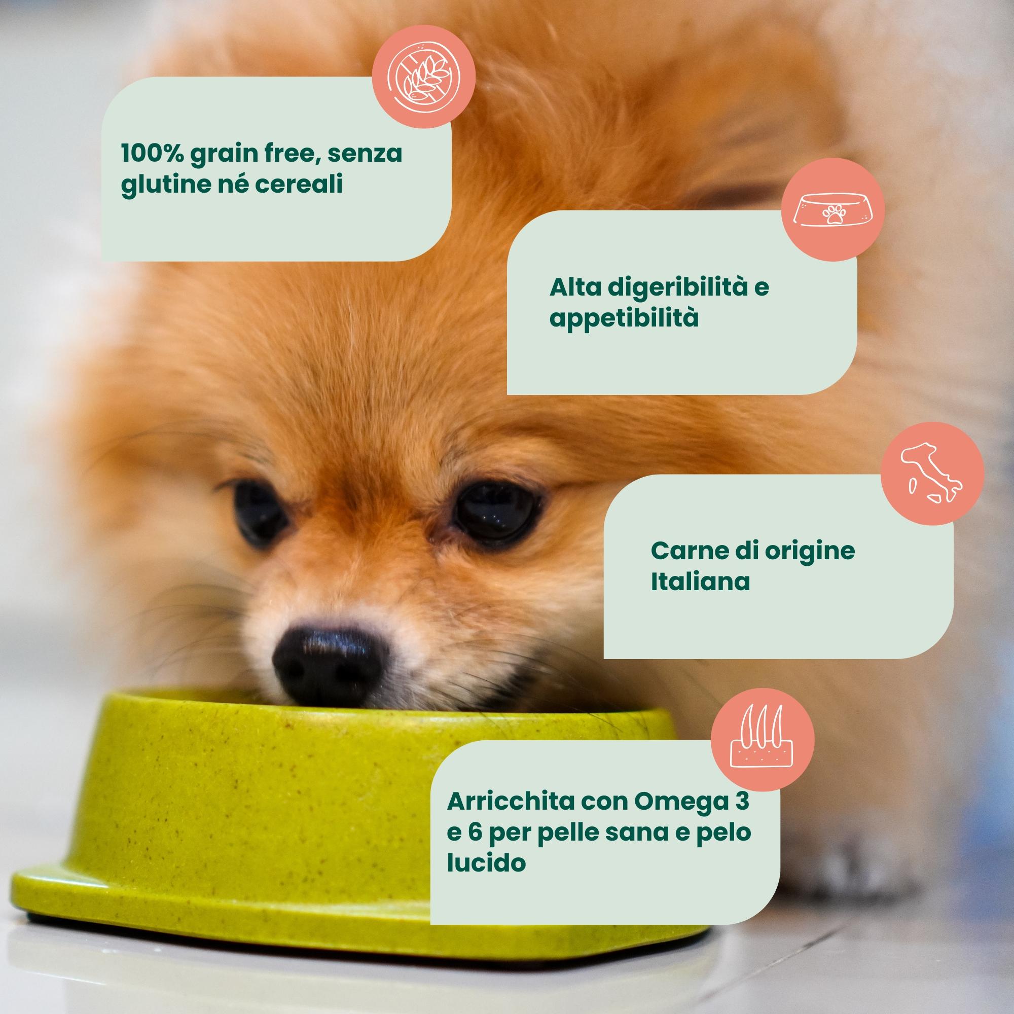 Crocchette Grain Free per Cane Adulto Maiale