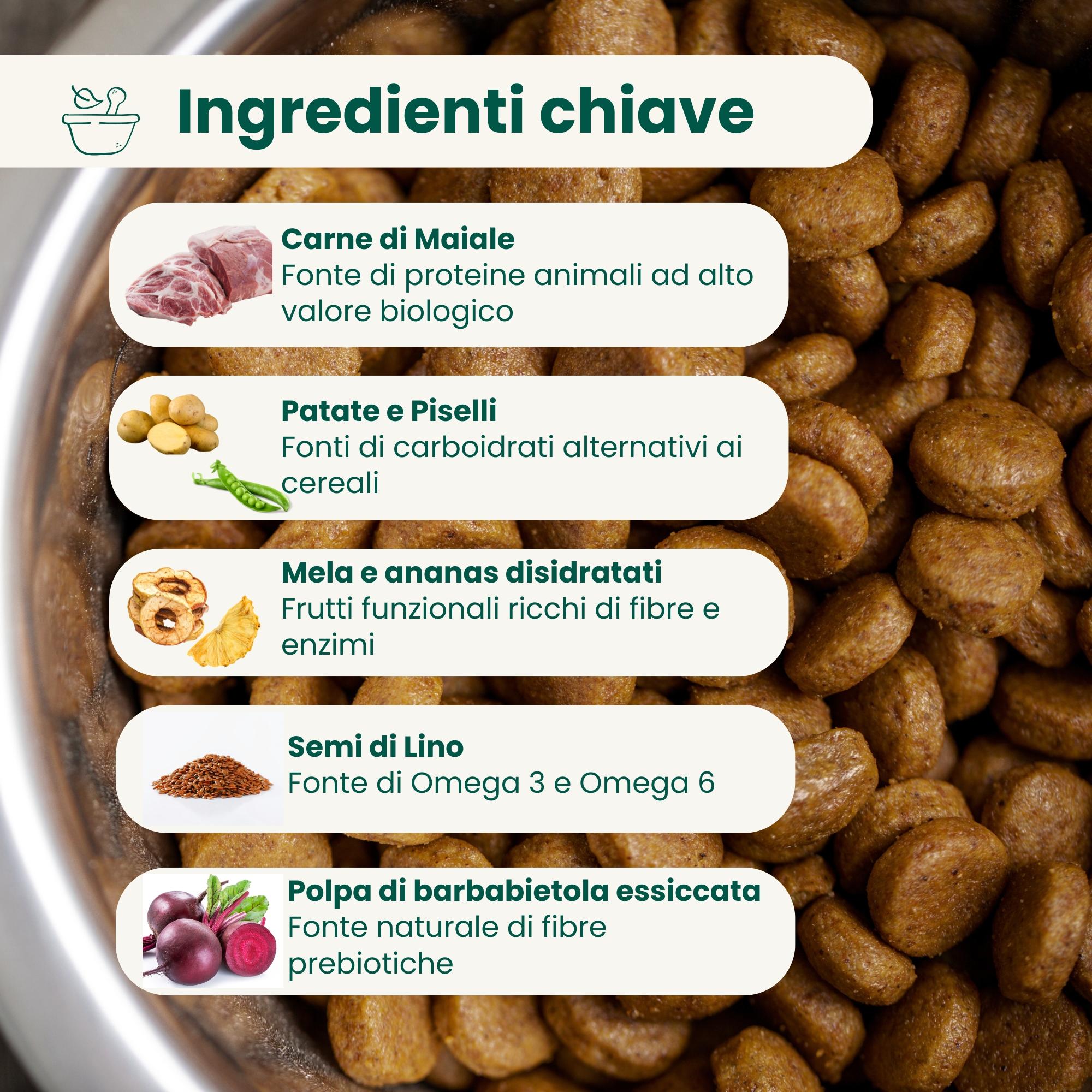Crocchette Grain Free per Cane Adulto Maiale