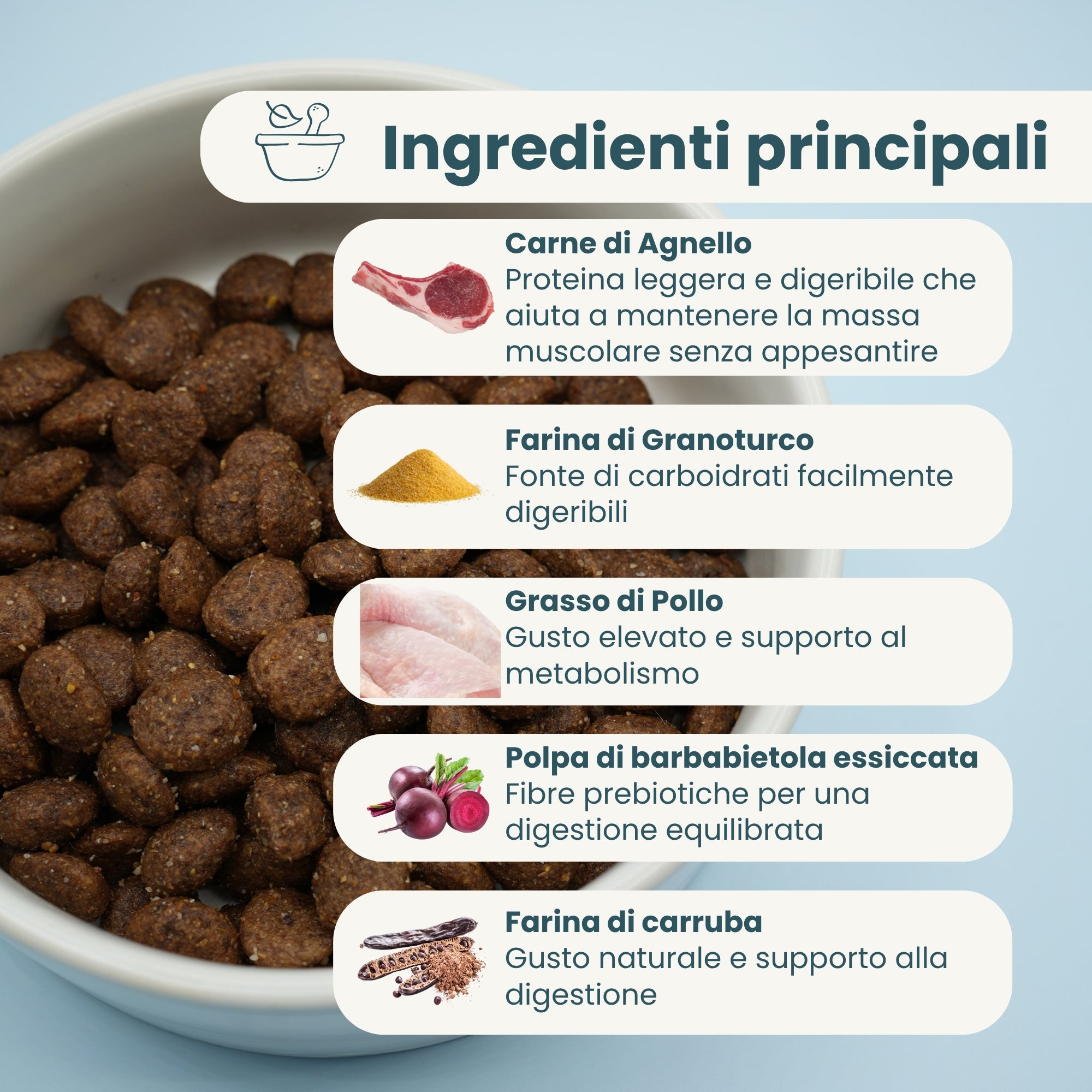 Crocchette Cane Anziano Agnello