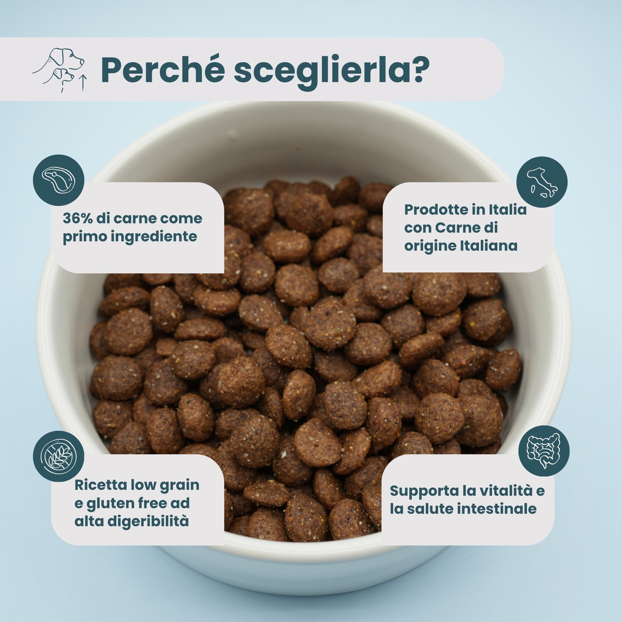 Crocchette Cane Anziano Agnello