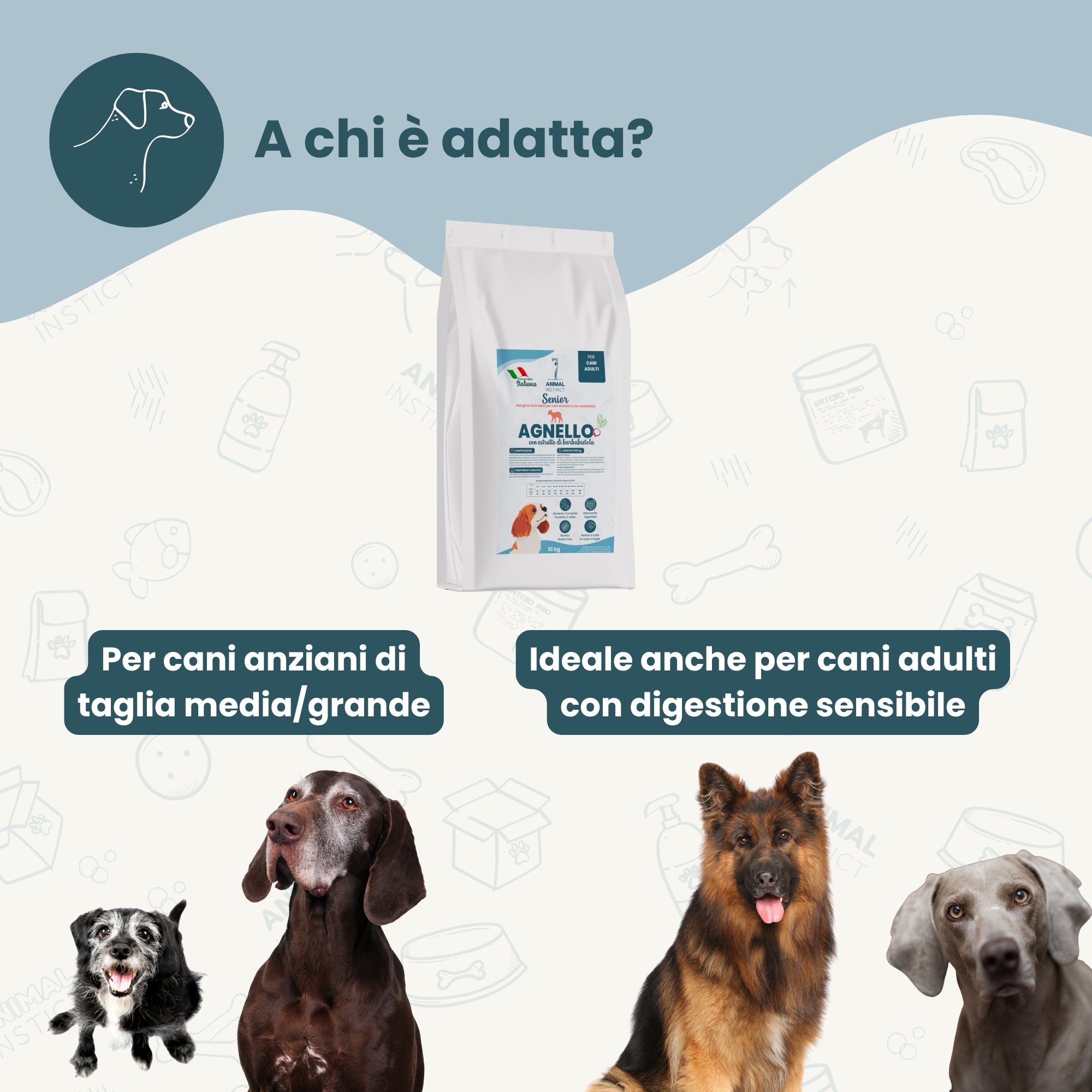 Crocchette Cane Anziano Agnello