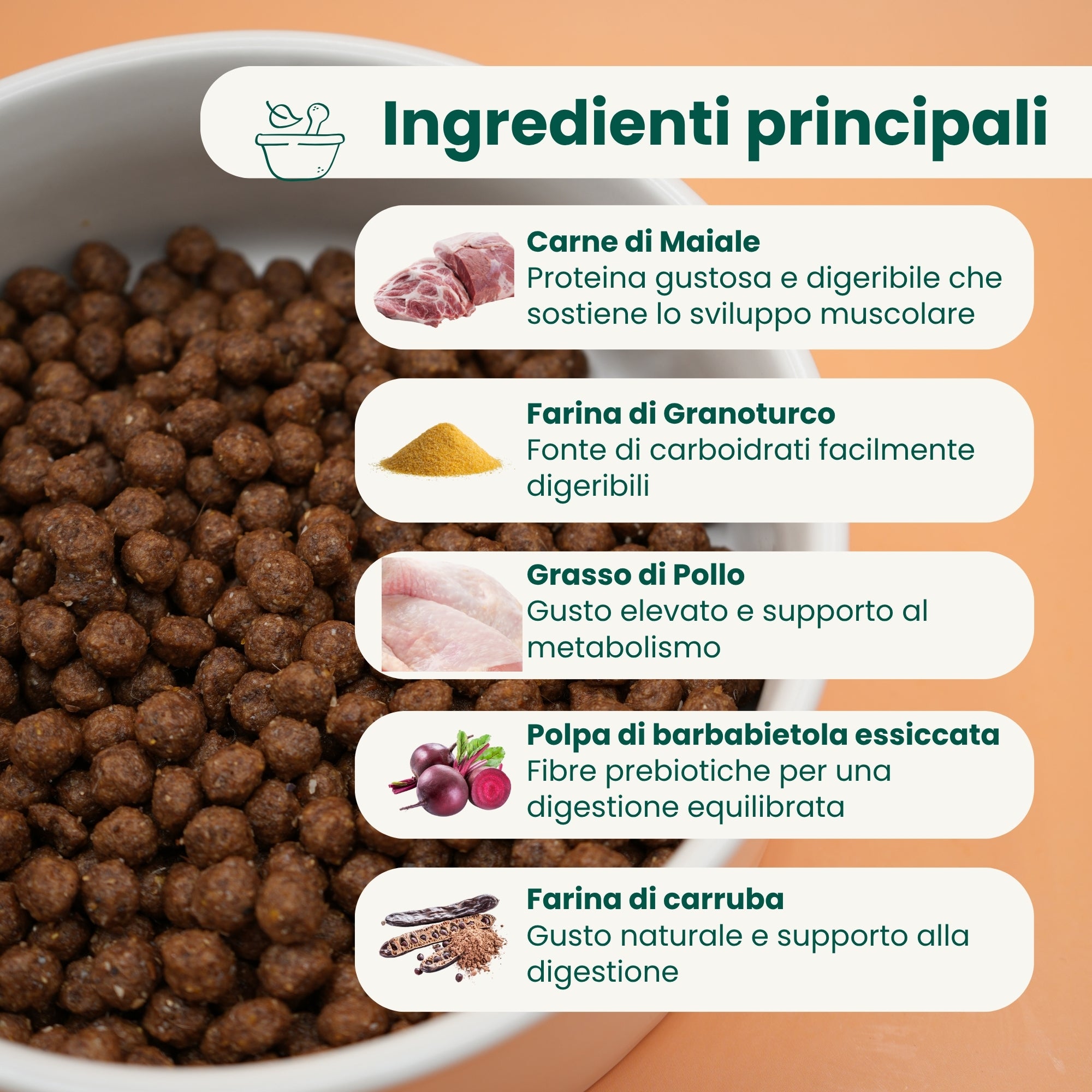 Crocchette Low Grain Cane Adulto Maiale