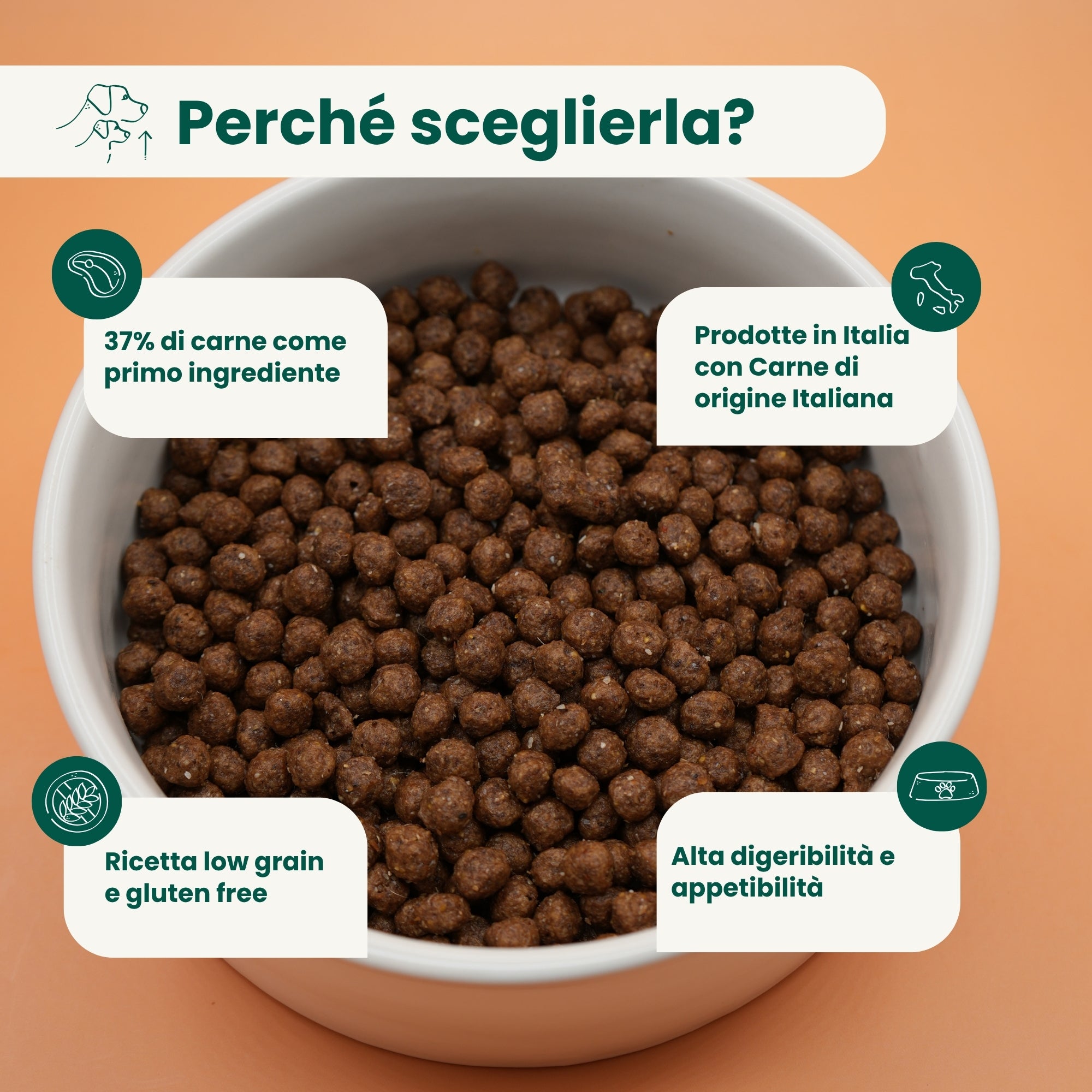 Crocchette Low Grain Cane Adulto Maiale