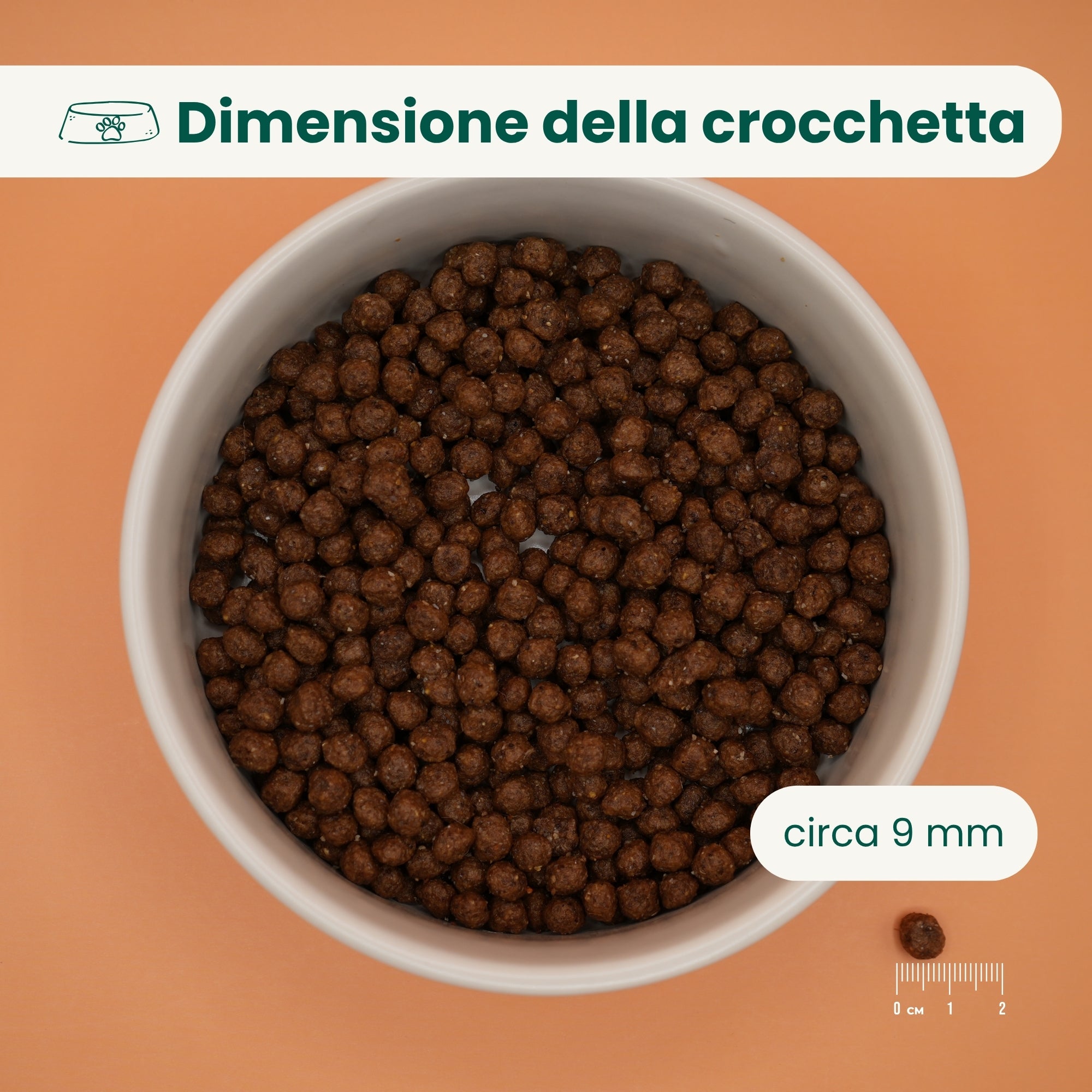 Crocchette Low Grain Cane Adulto Maiale