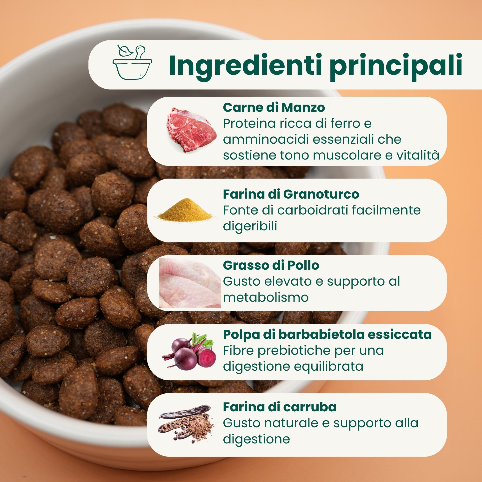 Crocchette Low Grain Cane Adulto Manzo