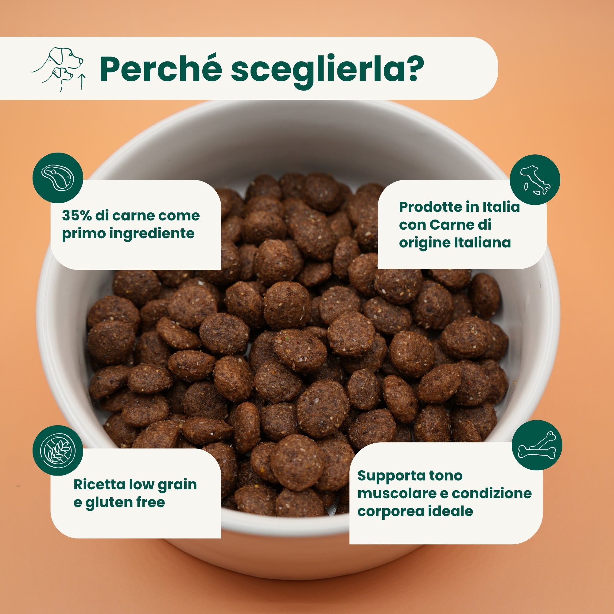 Crocchette Low Grain Cane Adulto Manzo