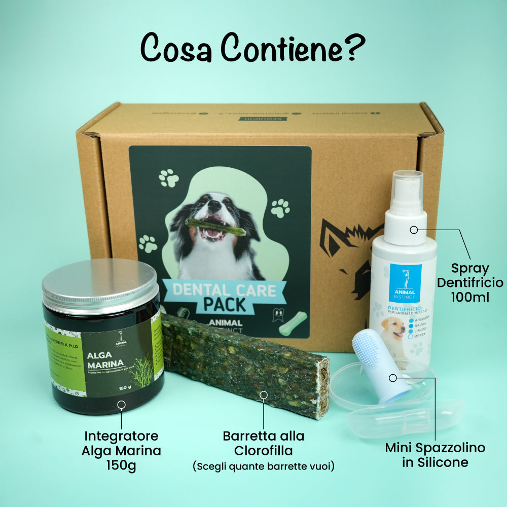 DENTAL CARE PACK