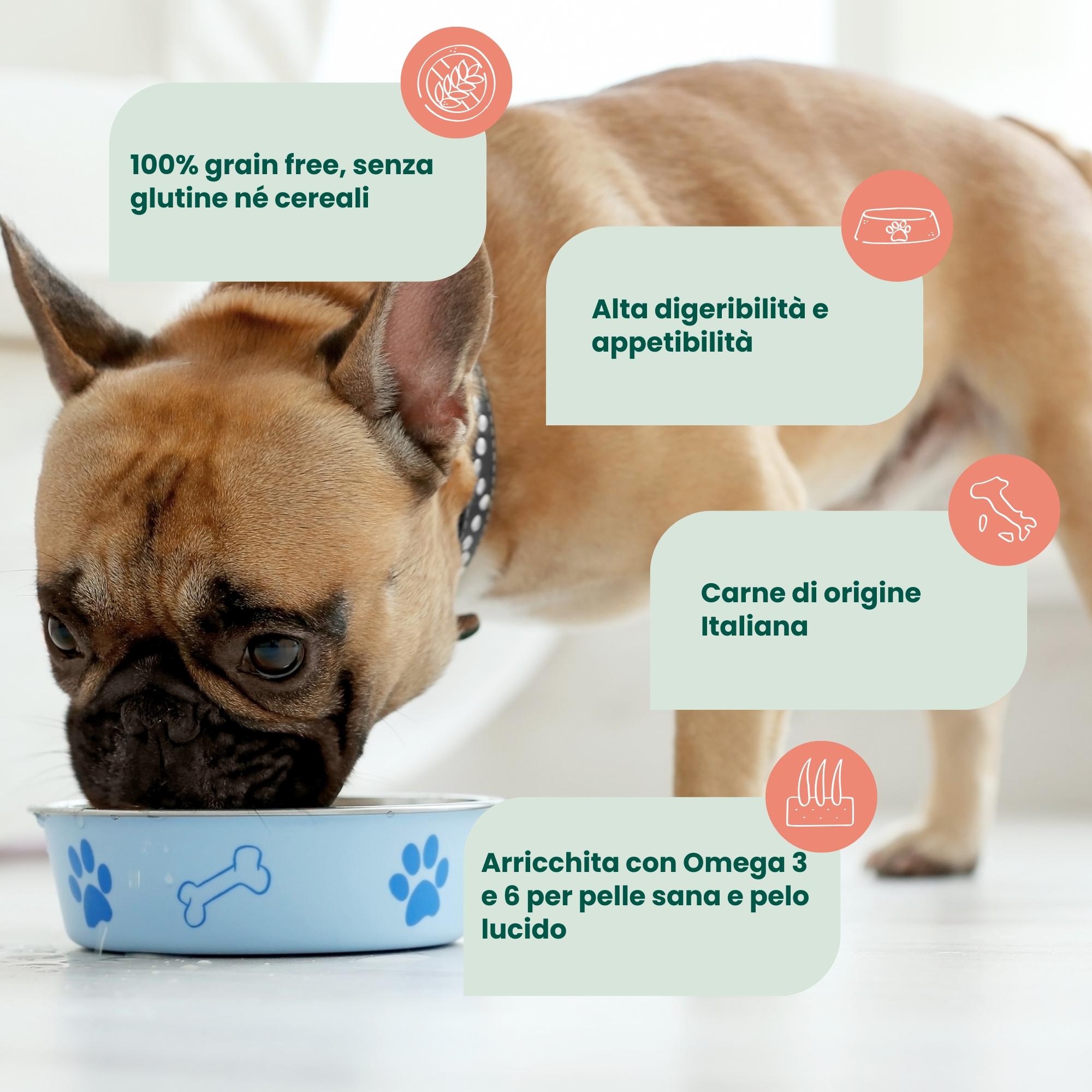 Crocchette Grain Free per Cane Adulto Bufalo e Sgombro