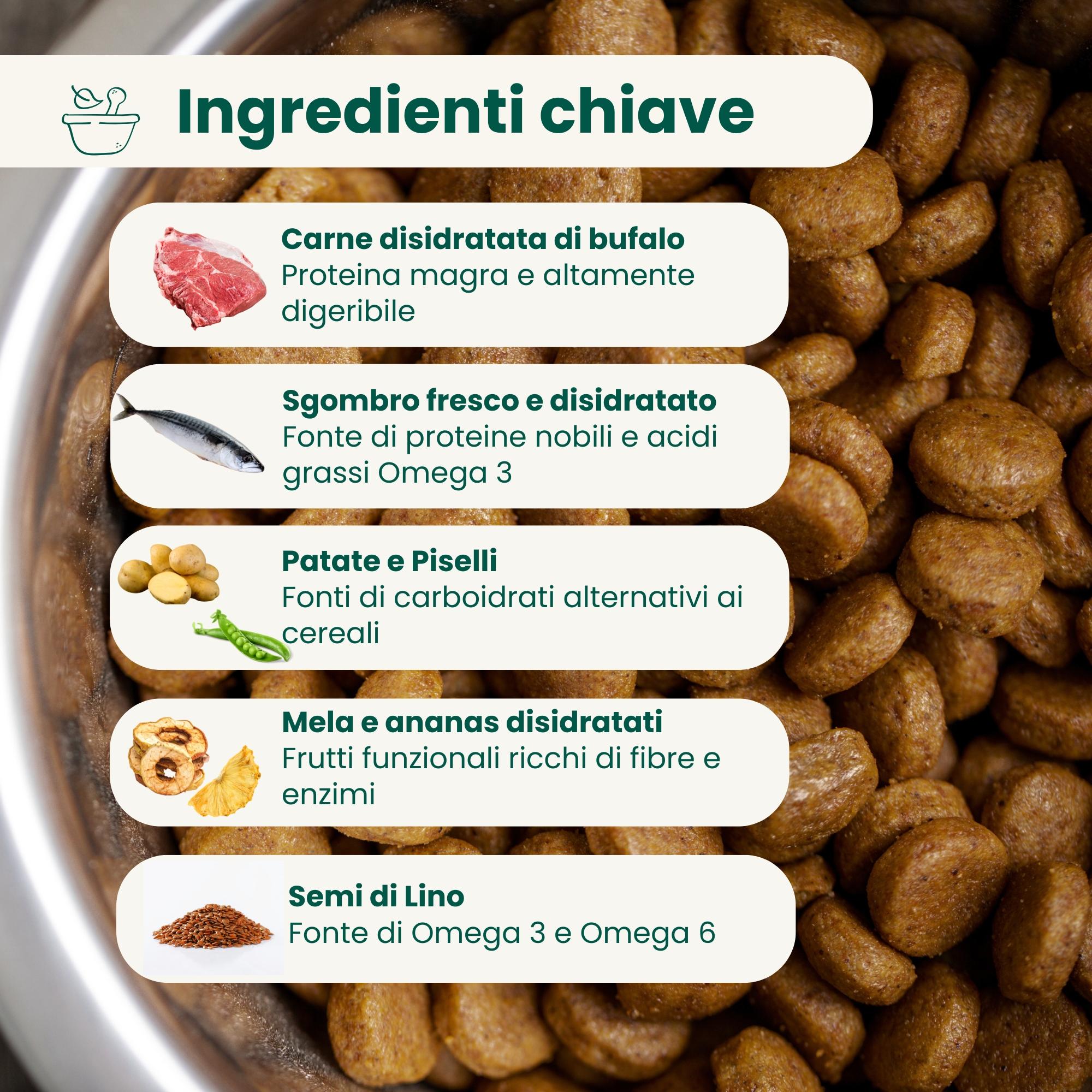 Crocchette Grain Free per Cane Adulto Bufalo e Sgombro