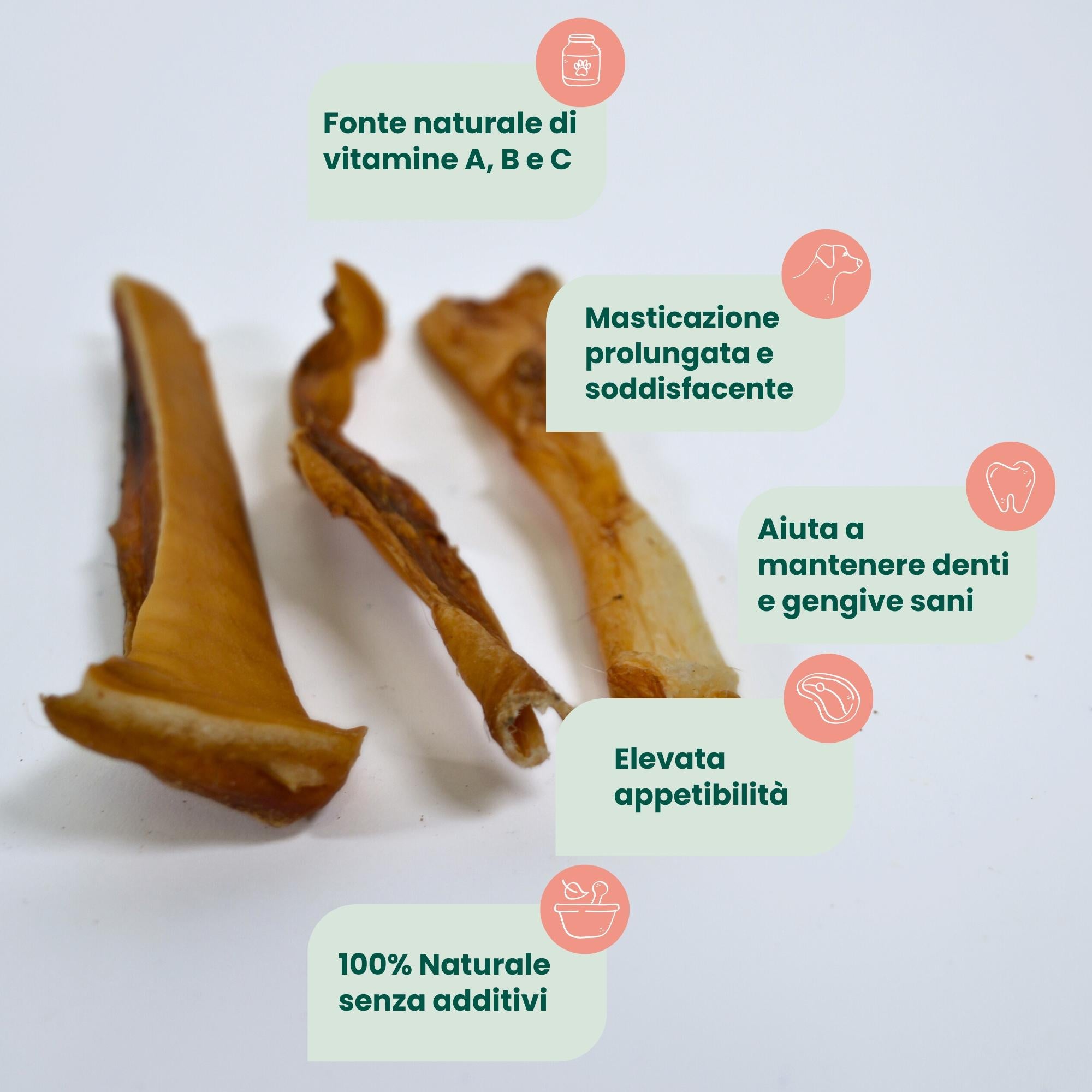 Strips of Pigskin (200 gr)