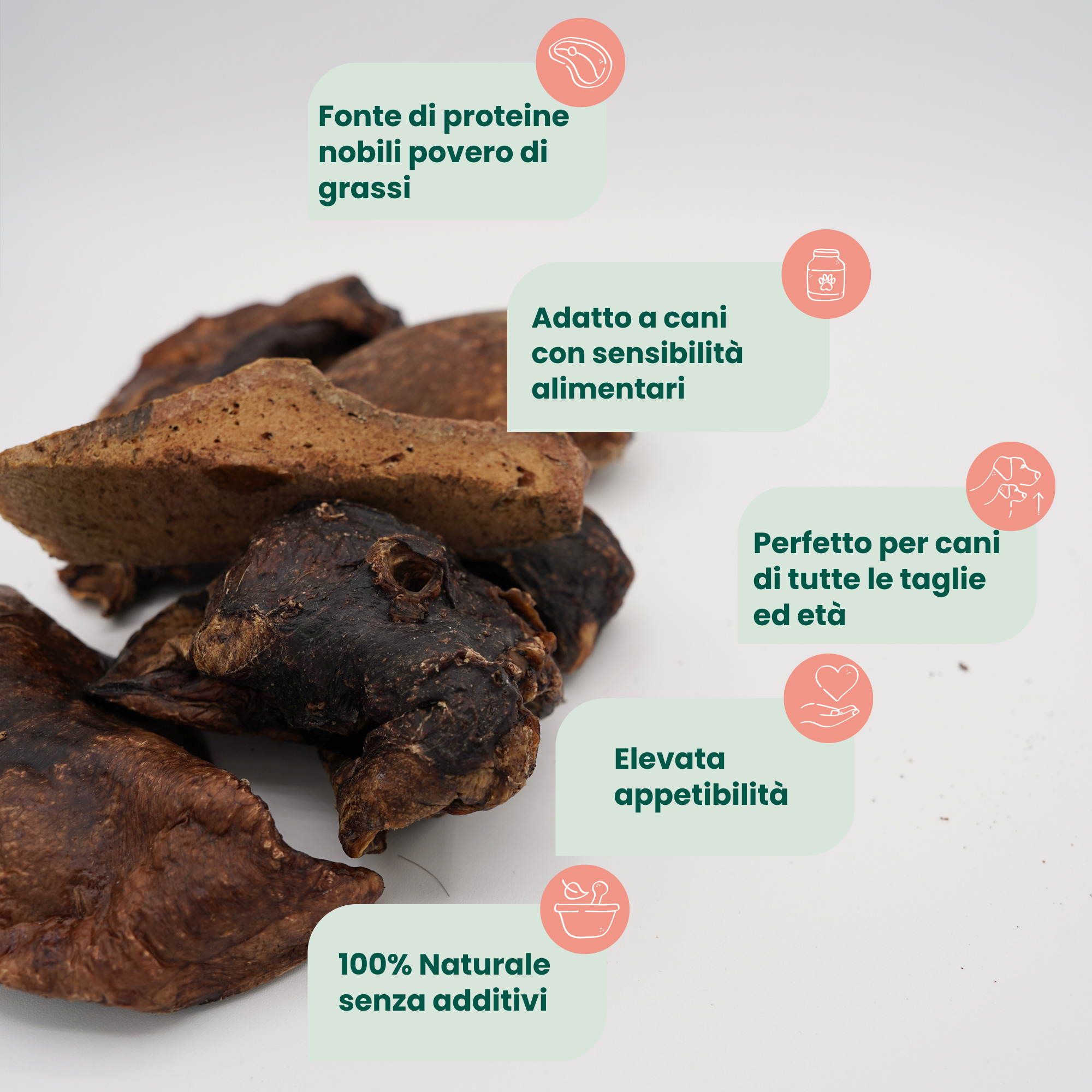 Polmone di Cavallo Essiccato (100 g)