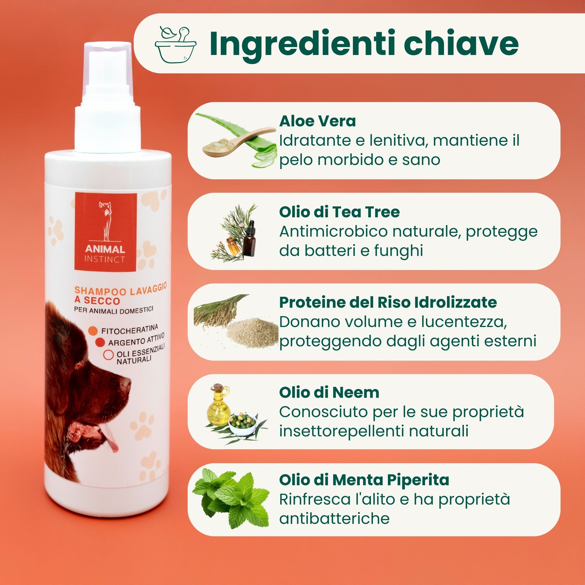 Shampoo Secco Senza Risciacquo