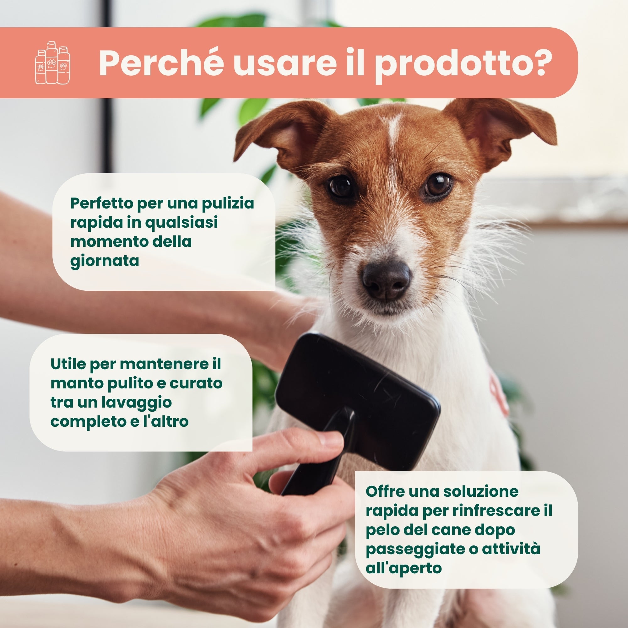 Shampoo Secco Senza Risciacquo