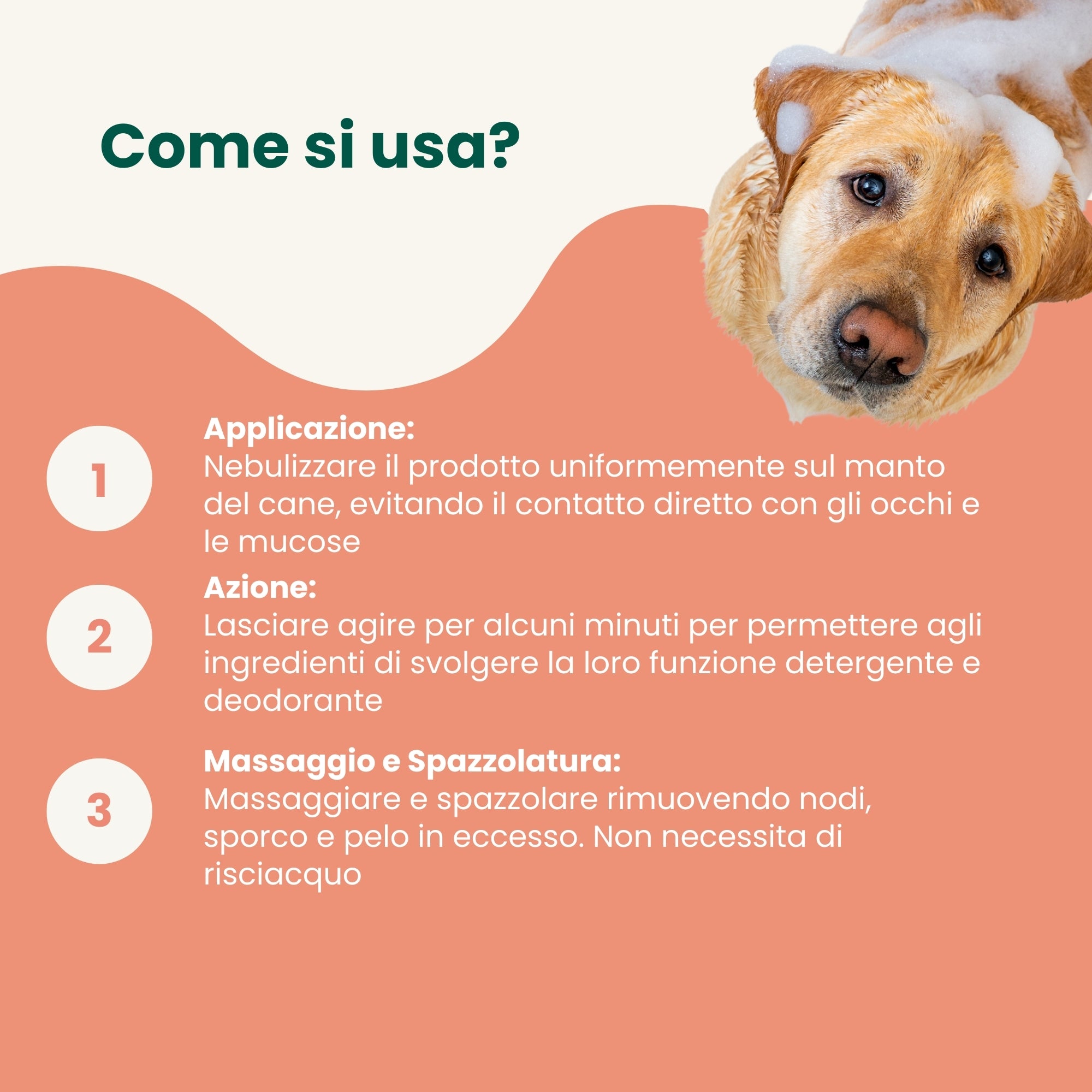 Shampoo Secco Senza Risciacquo