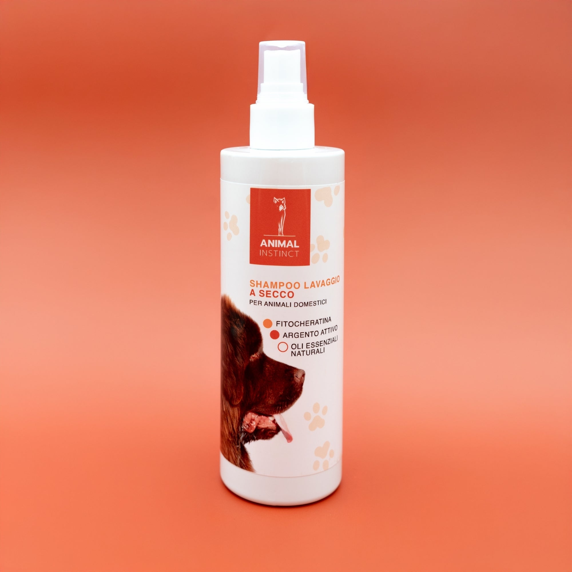 Shampoo Secco Senza Risciacquo