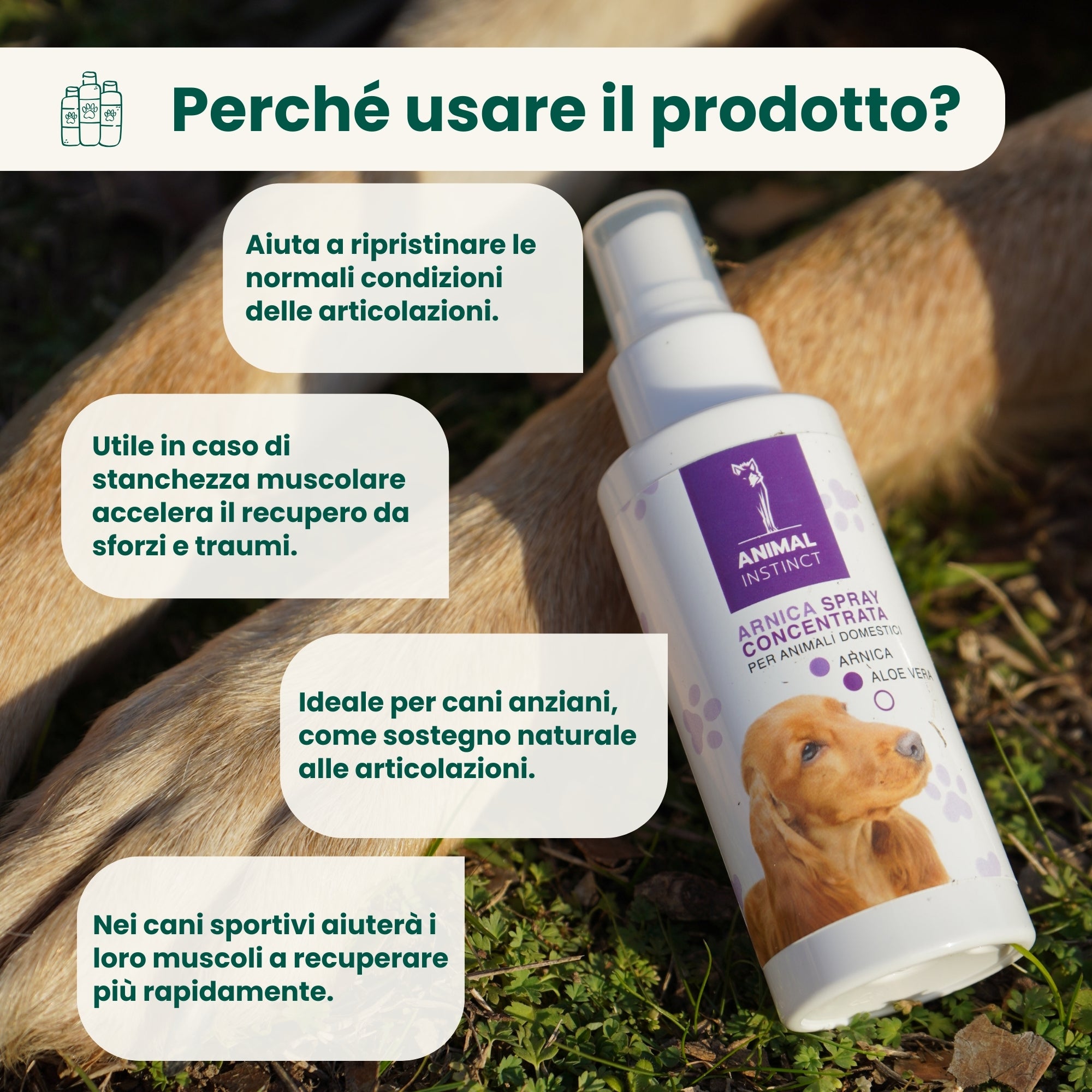 Spray Per La Cura Orale Per Animali Domestici HWKW, Detergente Per - Foto 7