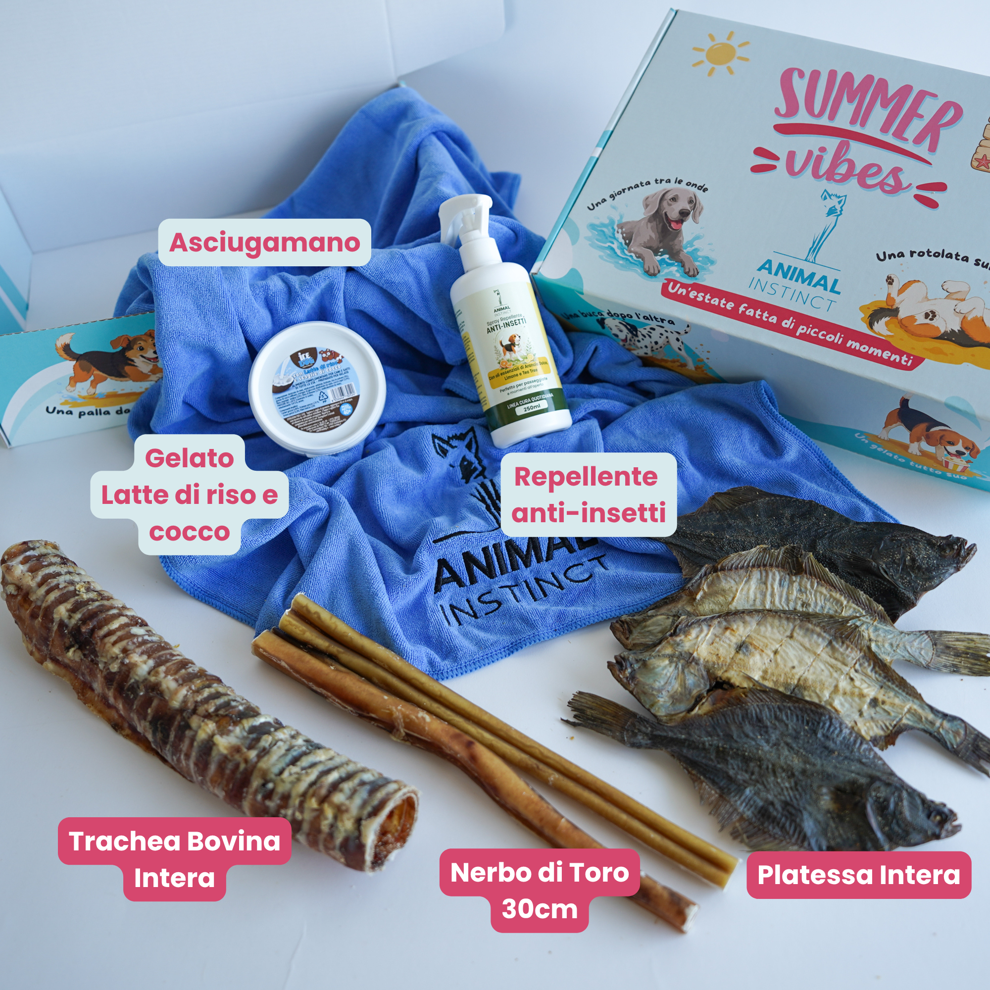 Summer Box - Cani Taglia Grande (>20kg)