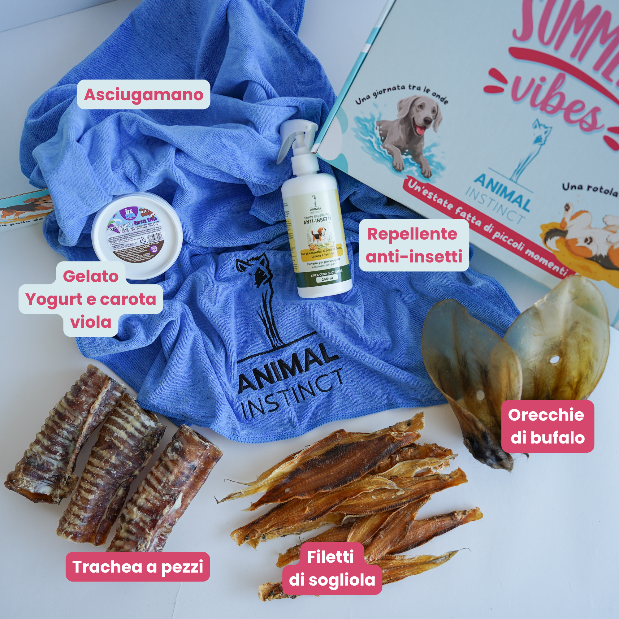 Summer Box - Cani Taglia Media (15–20 kg)