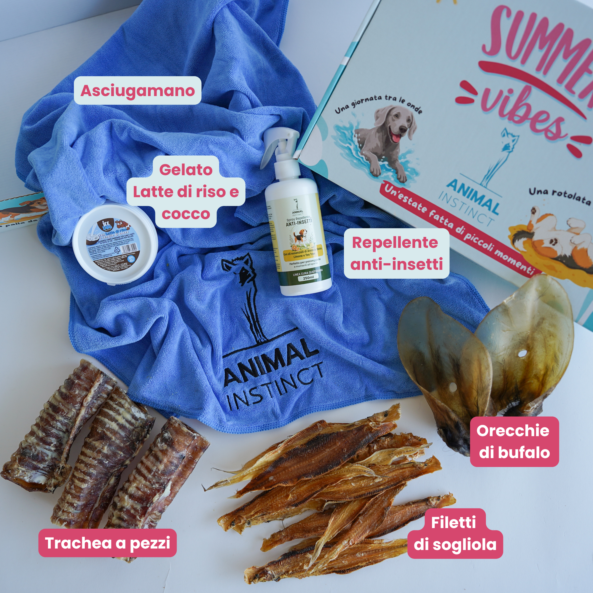 Summer Box - Cani Taglia Media (15–20 kg)