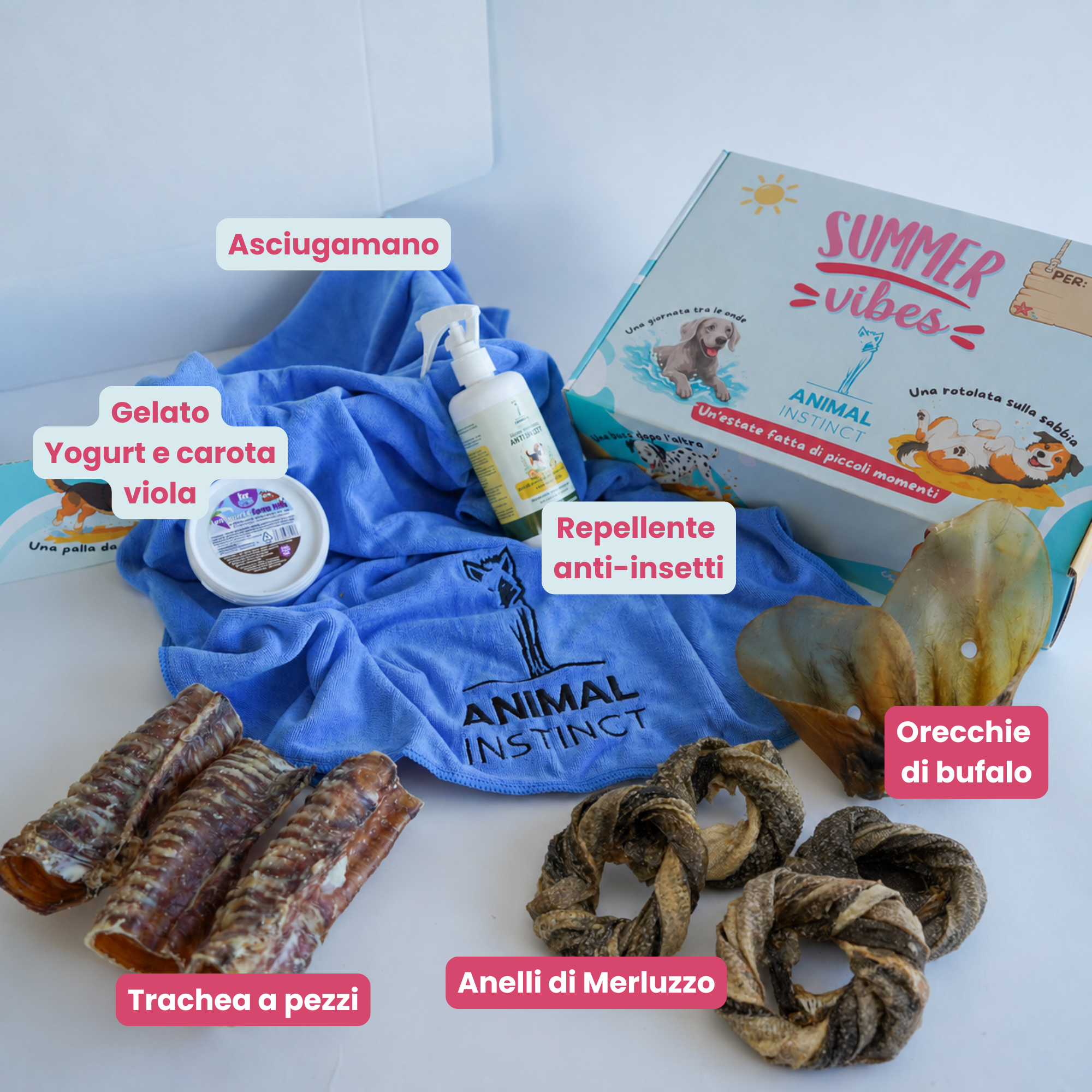 Summer Box - Cani Taglia Media (15–20 kg)