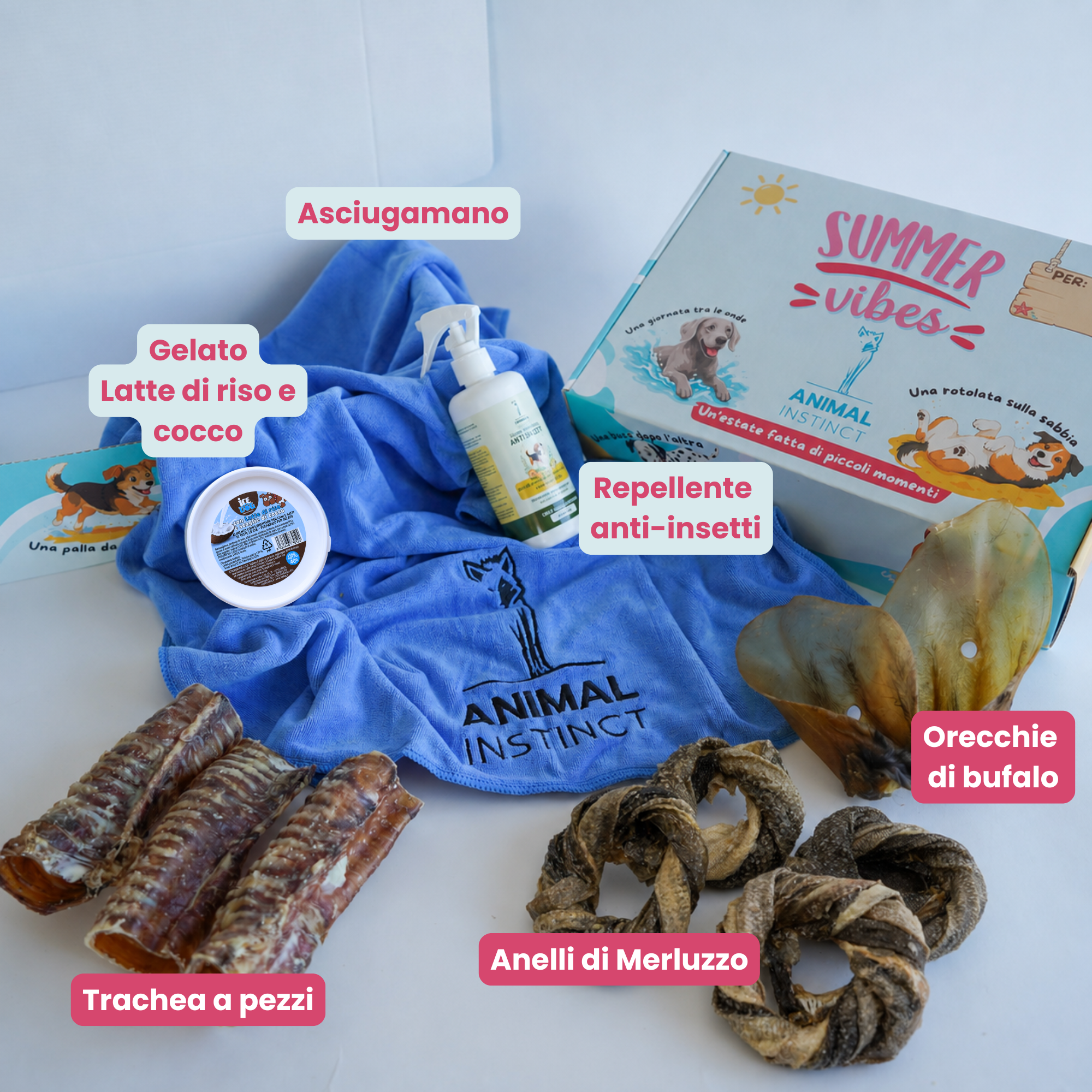 Summer Box - Cani Taglia Media (15–20 kg)