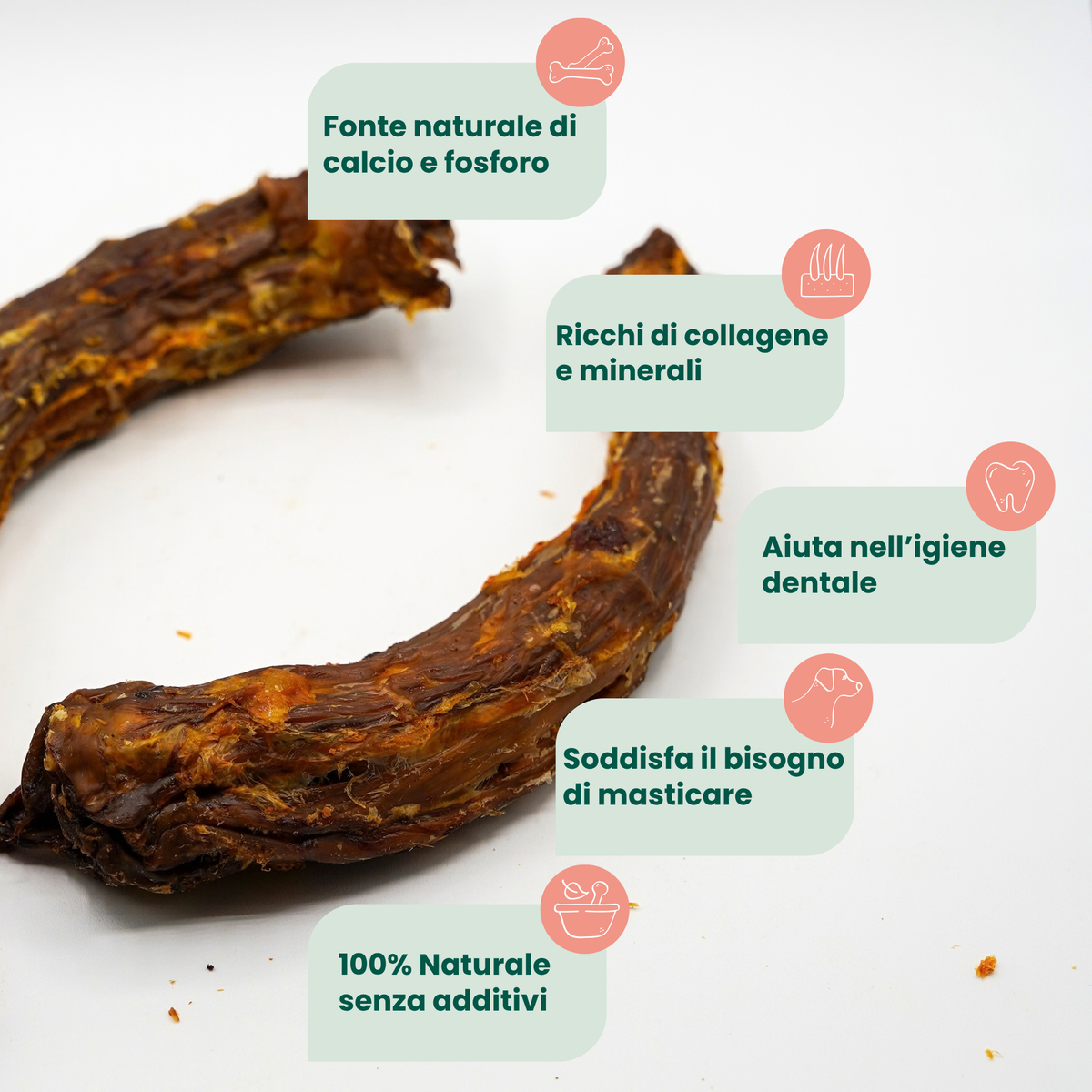 Turkey Necks (2 pcs)