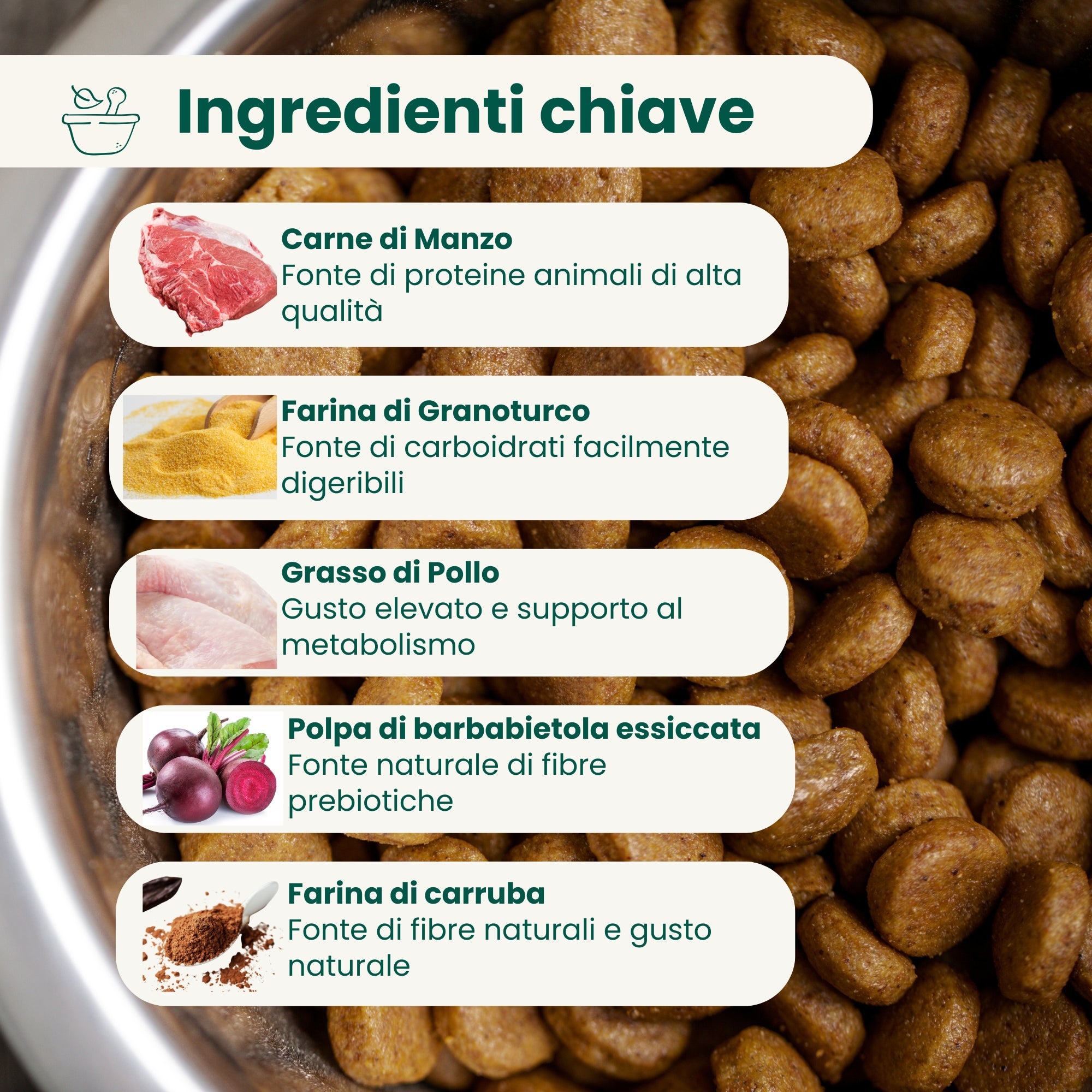 Crocchette Low Grain Cane Adulto Manzo