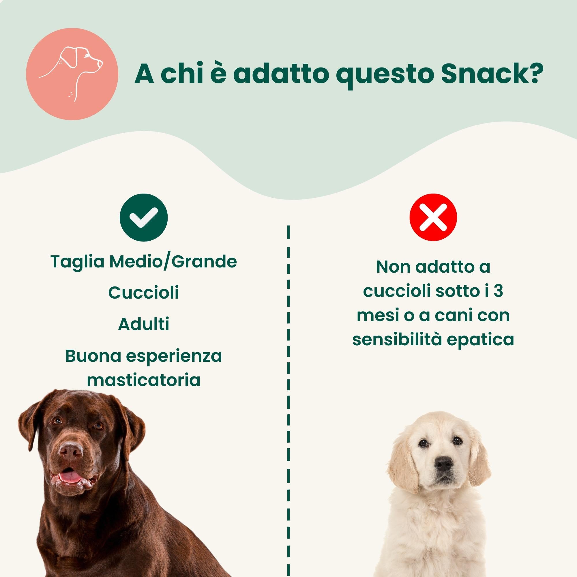 Durelli di pollo (80g)