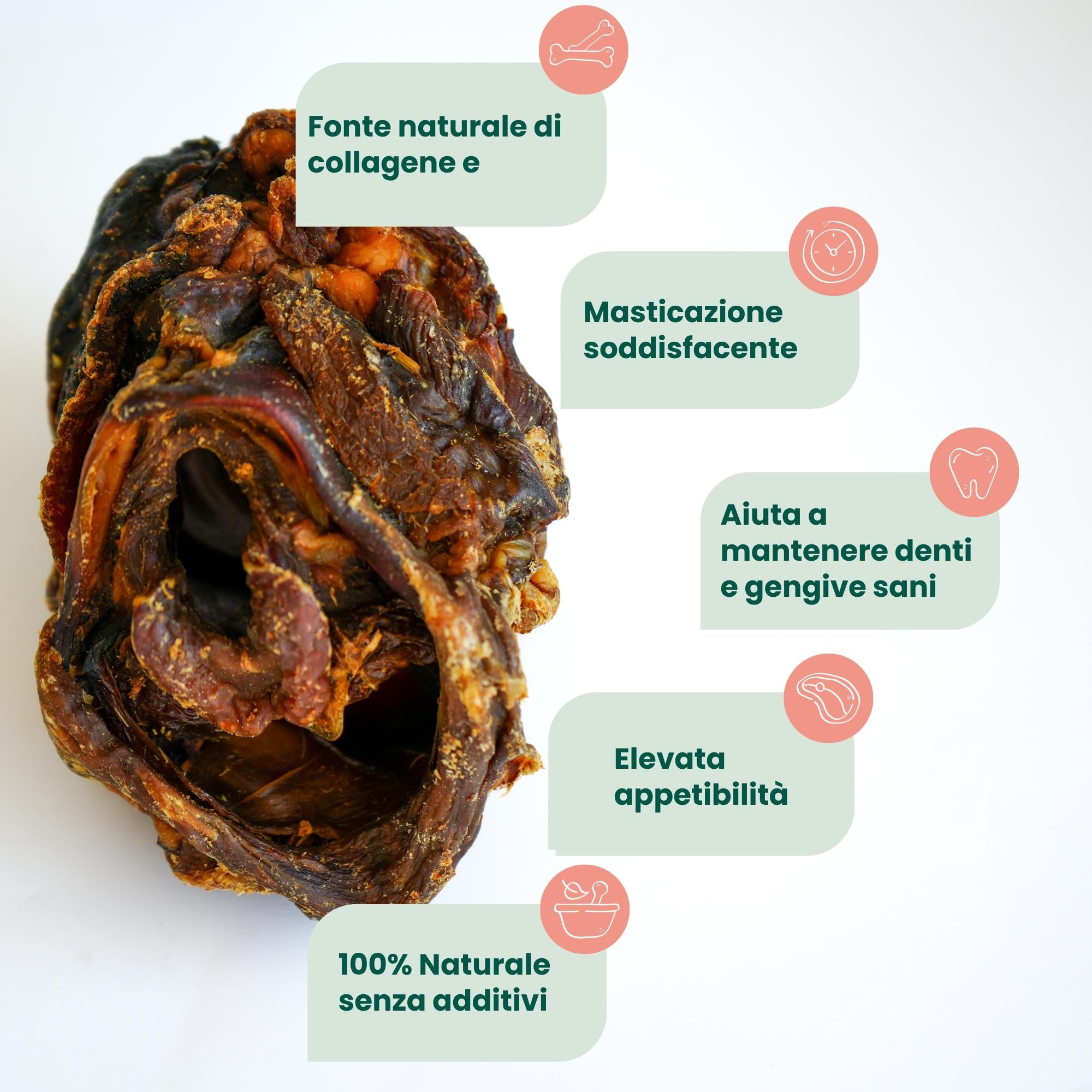 Epiglottide di Bovino (2pz)
