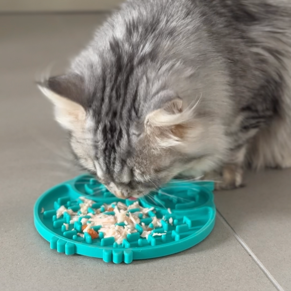 Umido Gatto - Pollo e Carote 85g