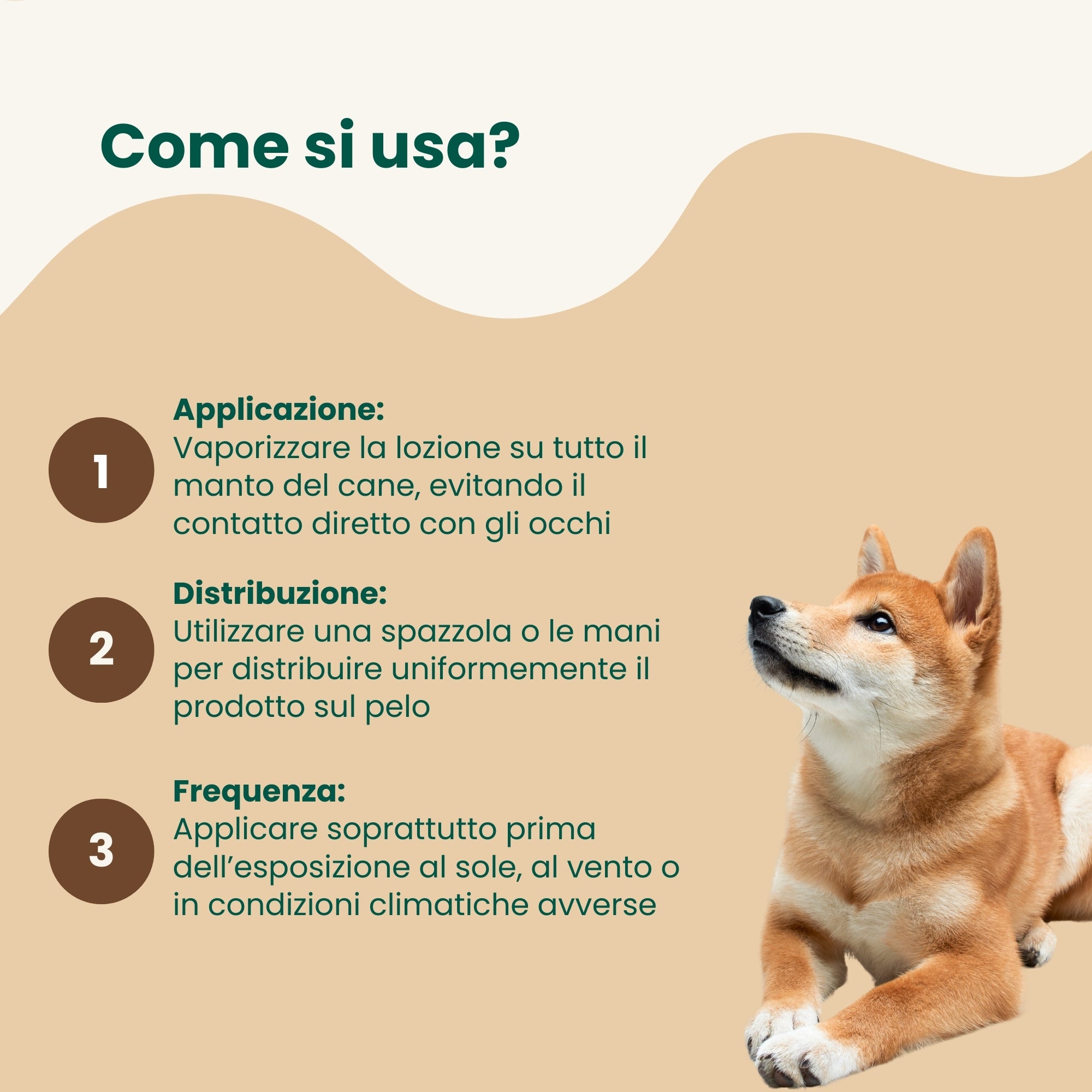 Lucidante per Pelo - Lozione con Filtro Solare