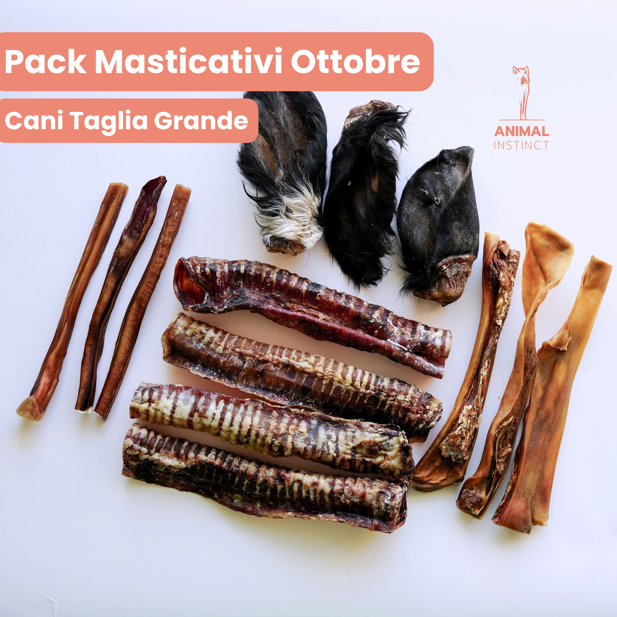 Pack Masticativi Ottobre – Cani Taglia Grande (>20kg)