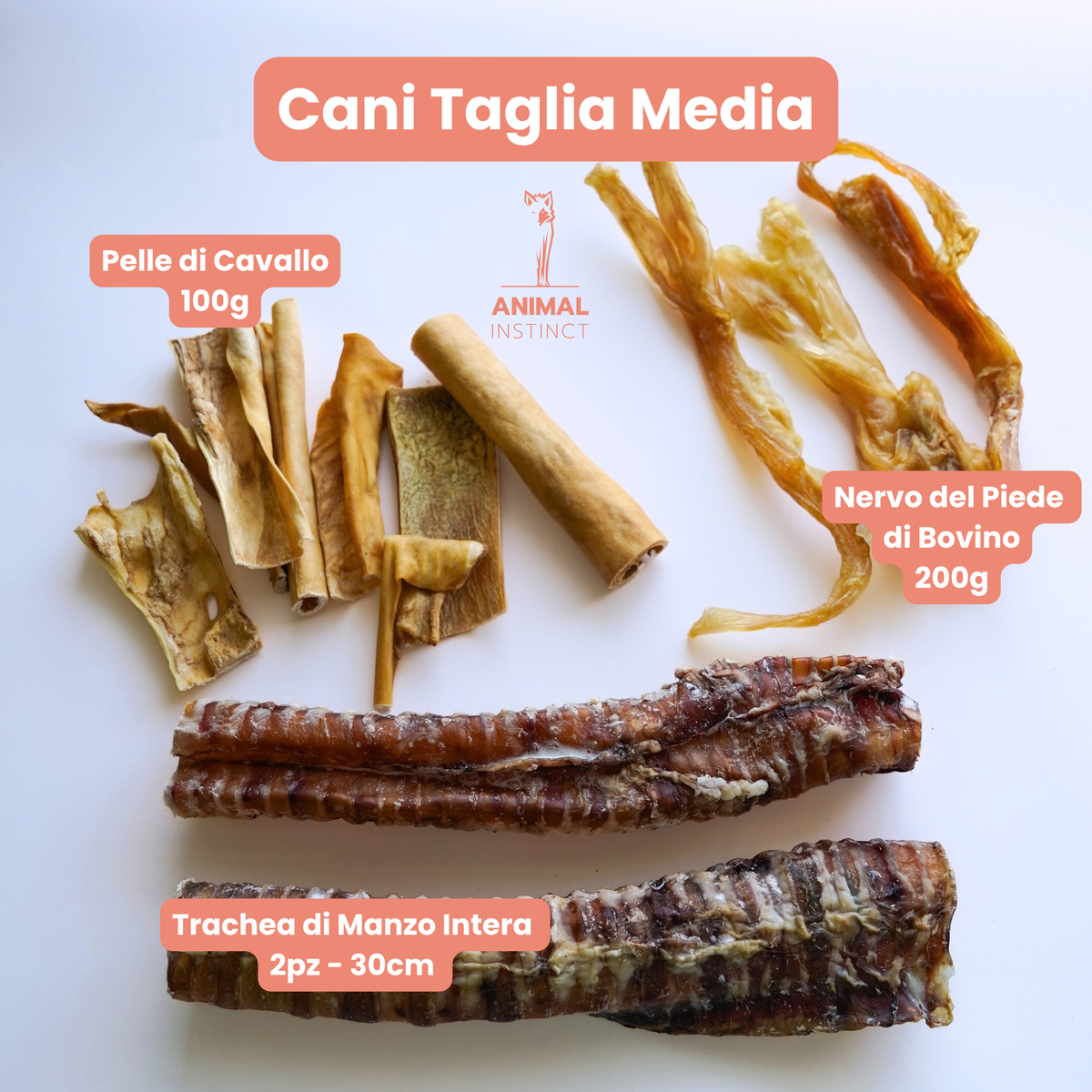 Pack Masticativi Ottobre - Cani T Media (15–20 kg)