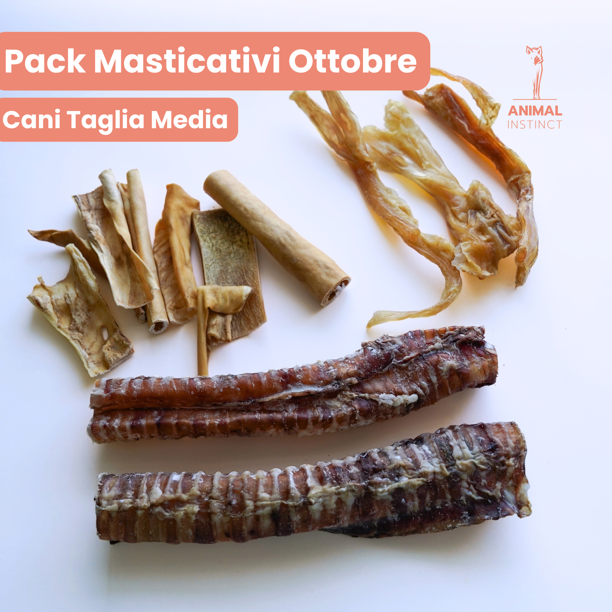 Pack Masticativi Ottobre - Cani T Media (15–20 kg)