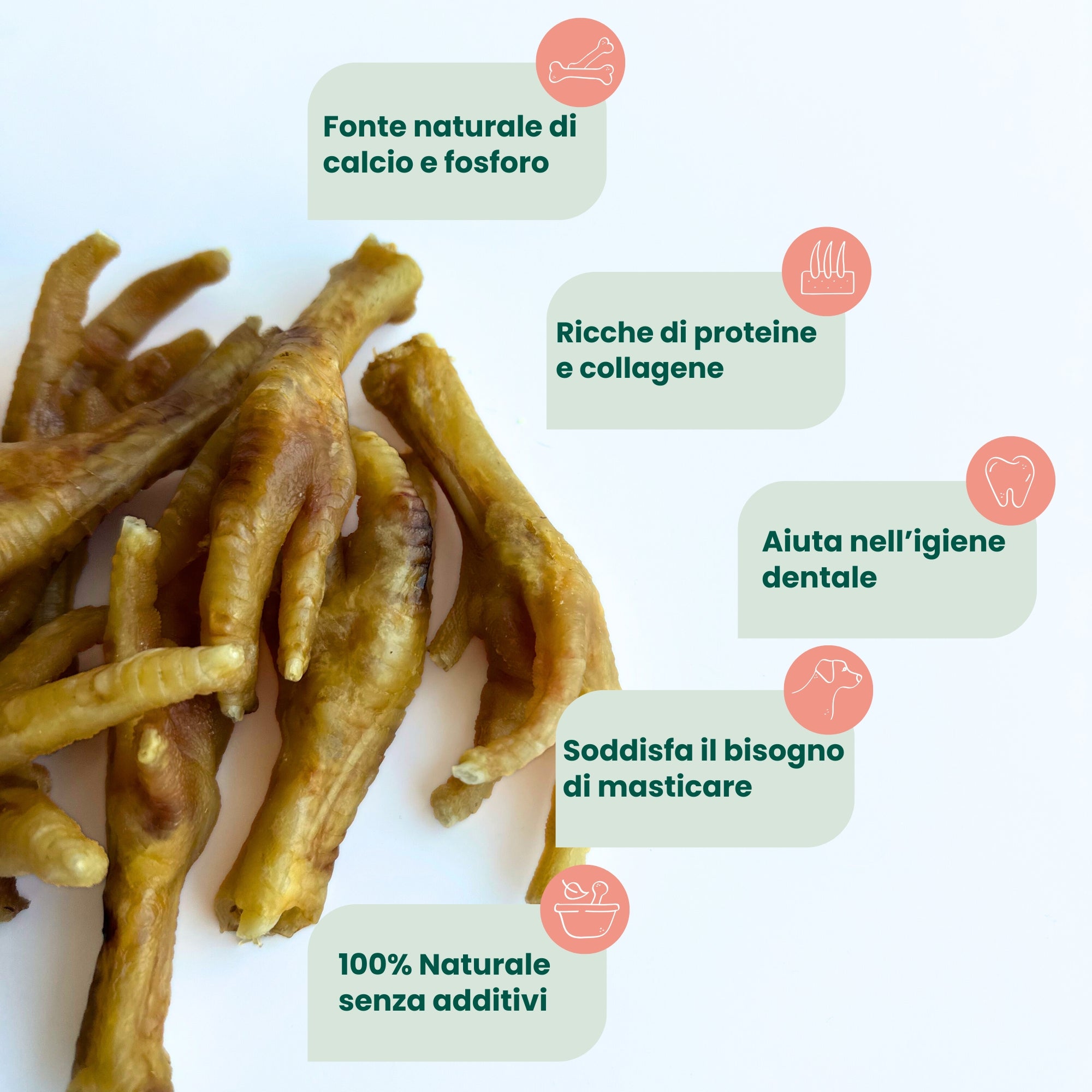 Zampe di Gallina senza unghie (200 g)