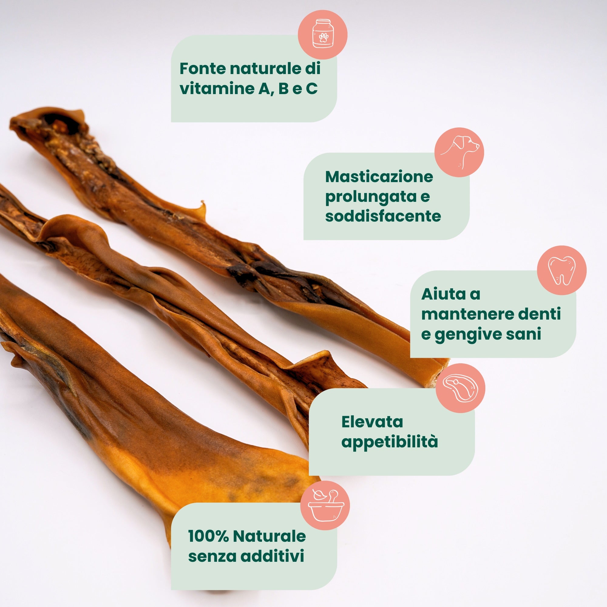 Pelle di Testa di Bovino (3 pz)