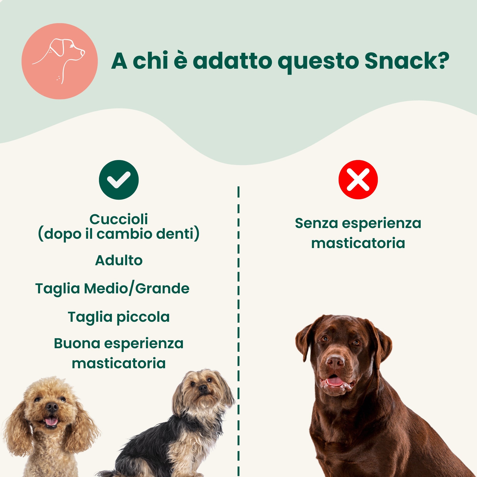 Pelle di Cavallo (100g)